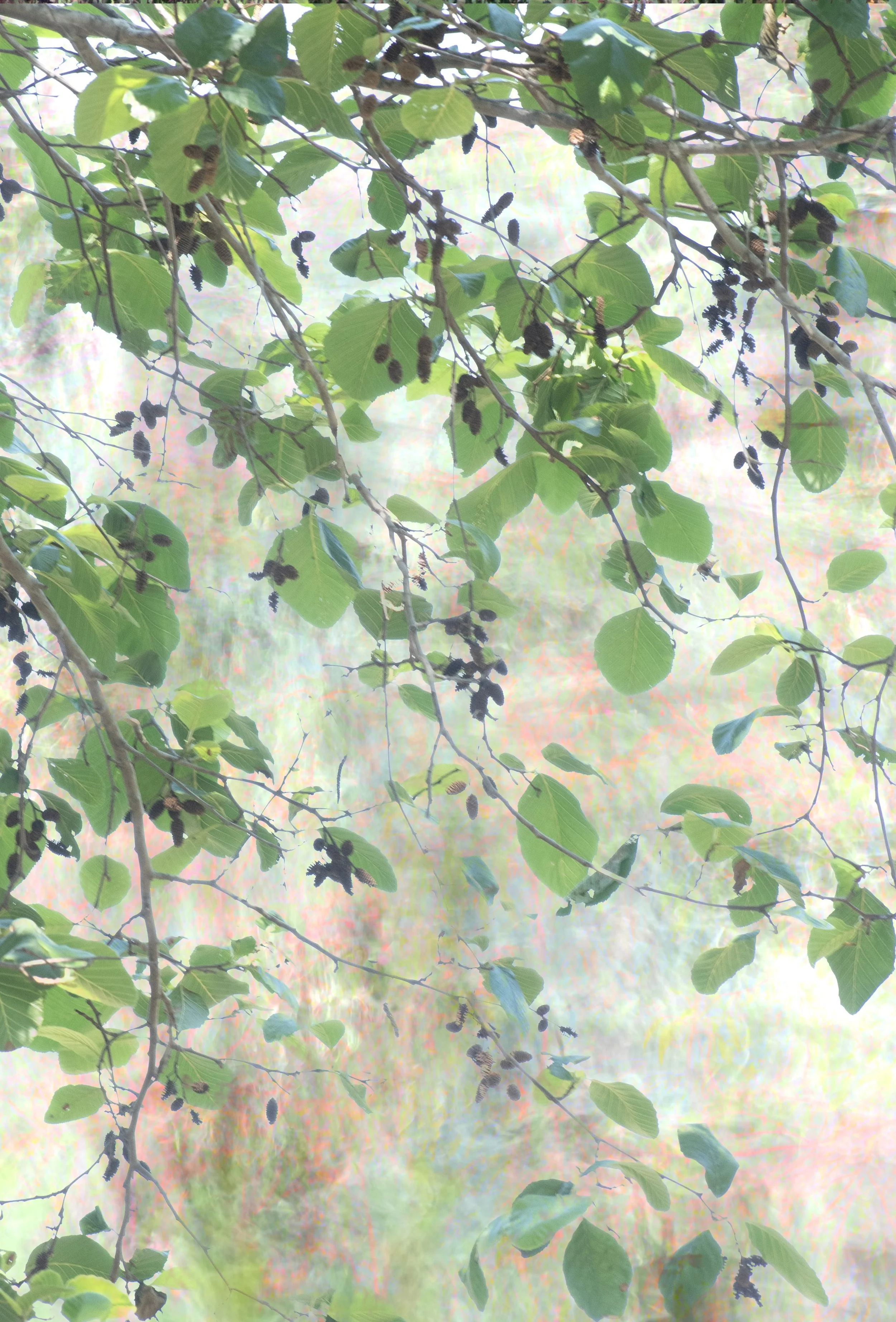 DSC_0518 1 1 1 1 1 1 1 1 1 1 1 1 1 2 1 1 1 1.jpg