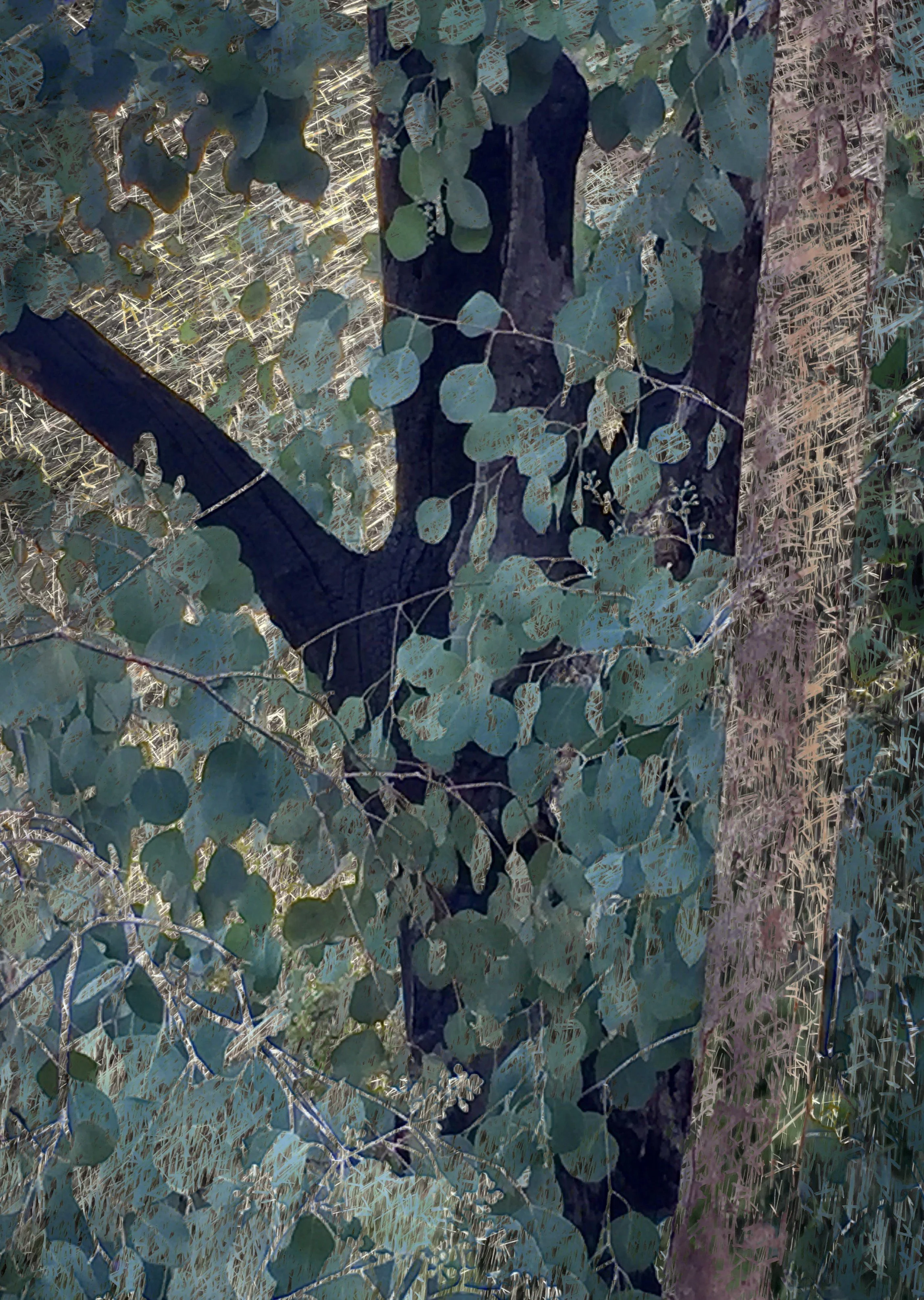 IMG_5495 2 3 4 1 1 2 1 1 - Copy.jpg