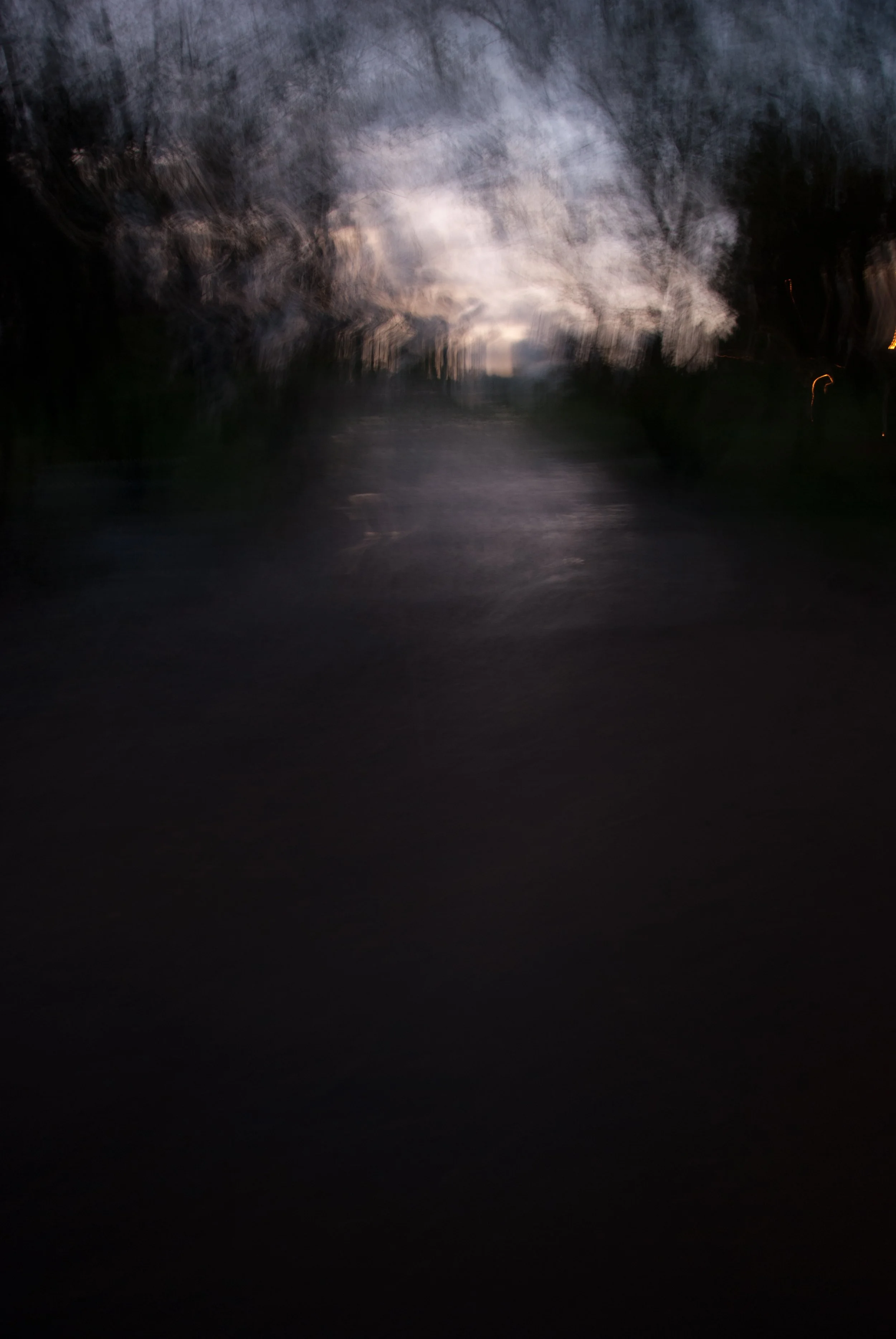 DSC_2677.jpg