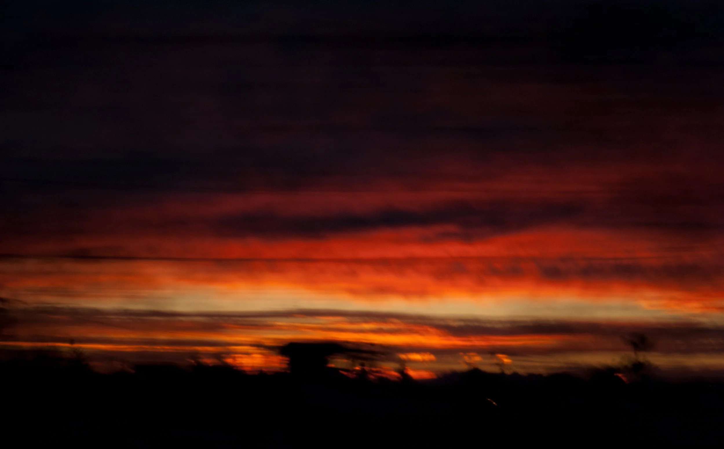 DSC_3003-3.jpg