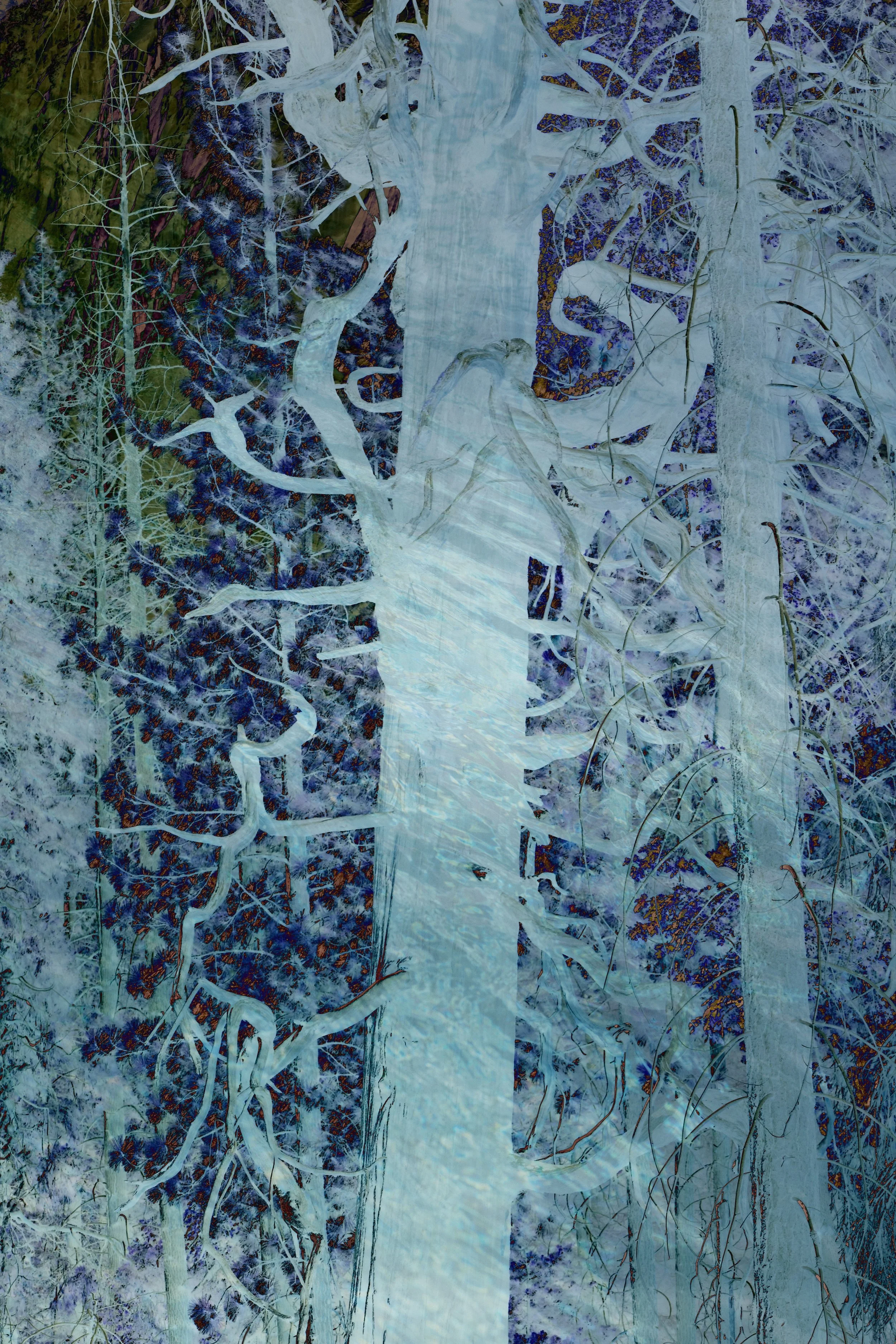 DSC_0370 1 1 1 1 1 - Copy.jpg