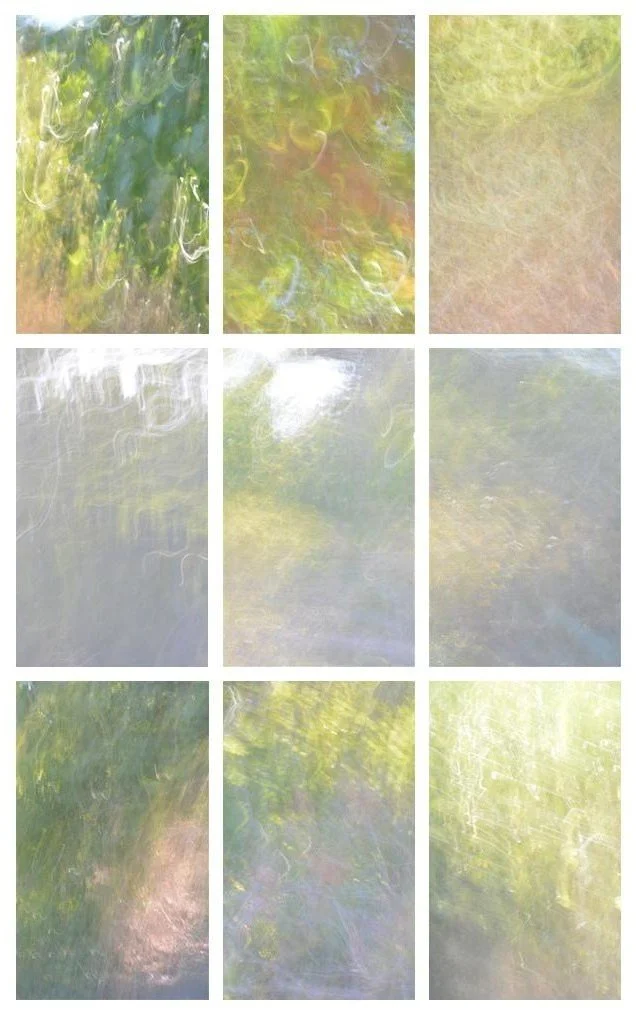 Woodley Walk 10 - Copy.jpg