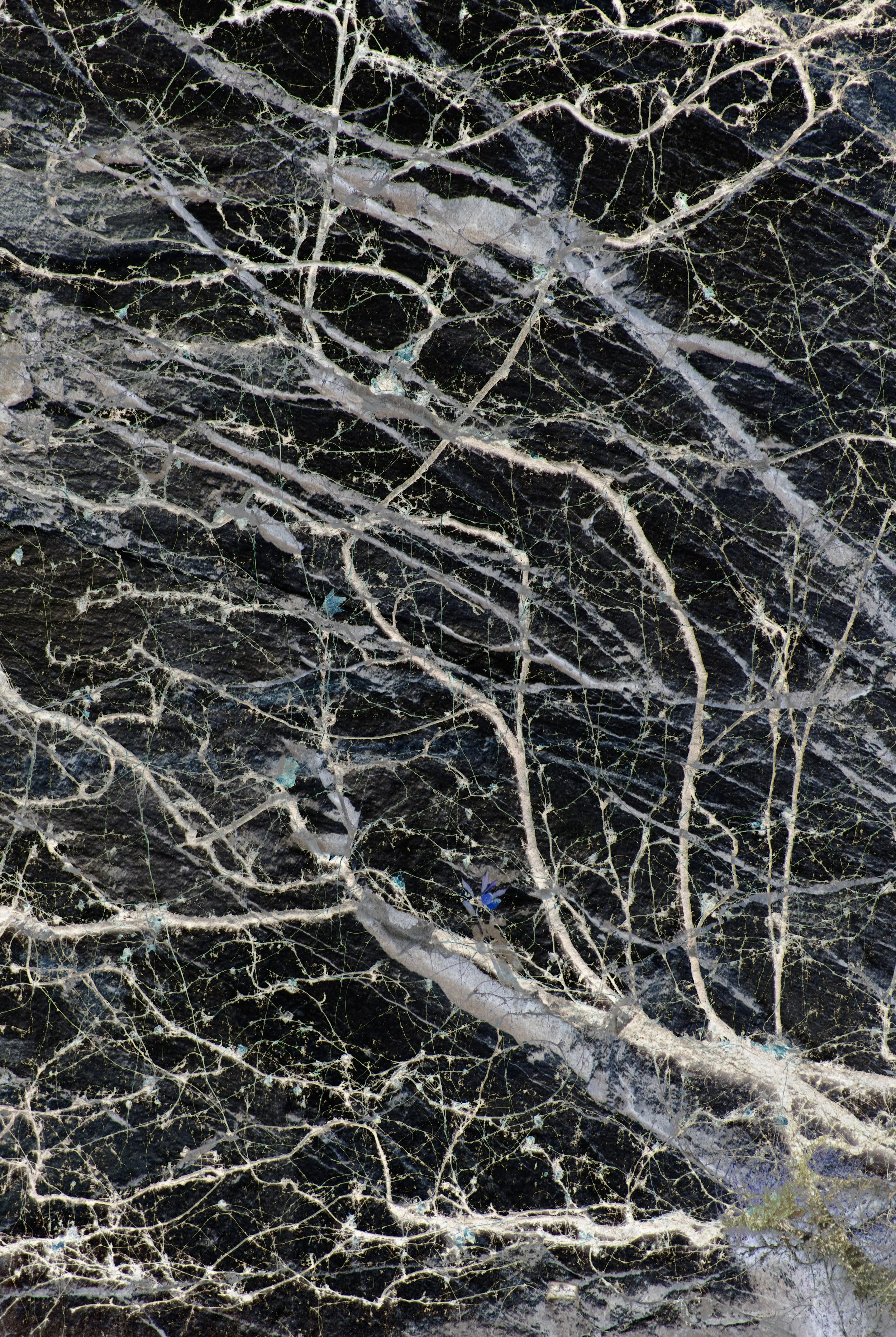 DSC_0120 1 1 1 1 1 1 1 1 - Copy (2) - Copy.jpg