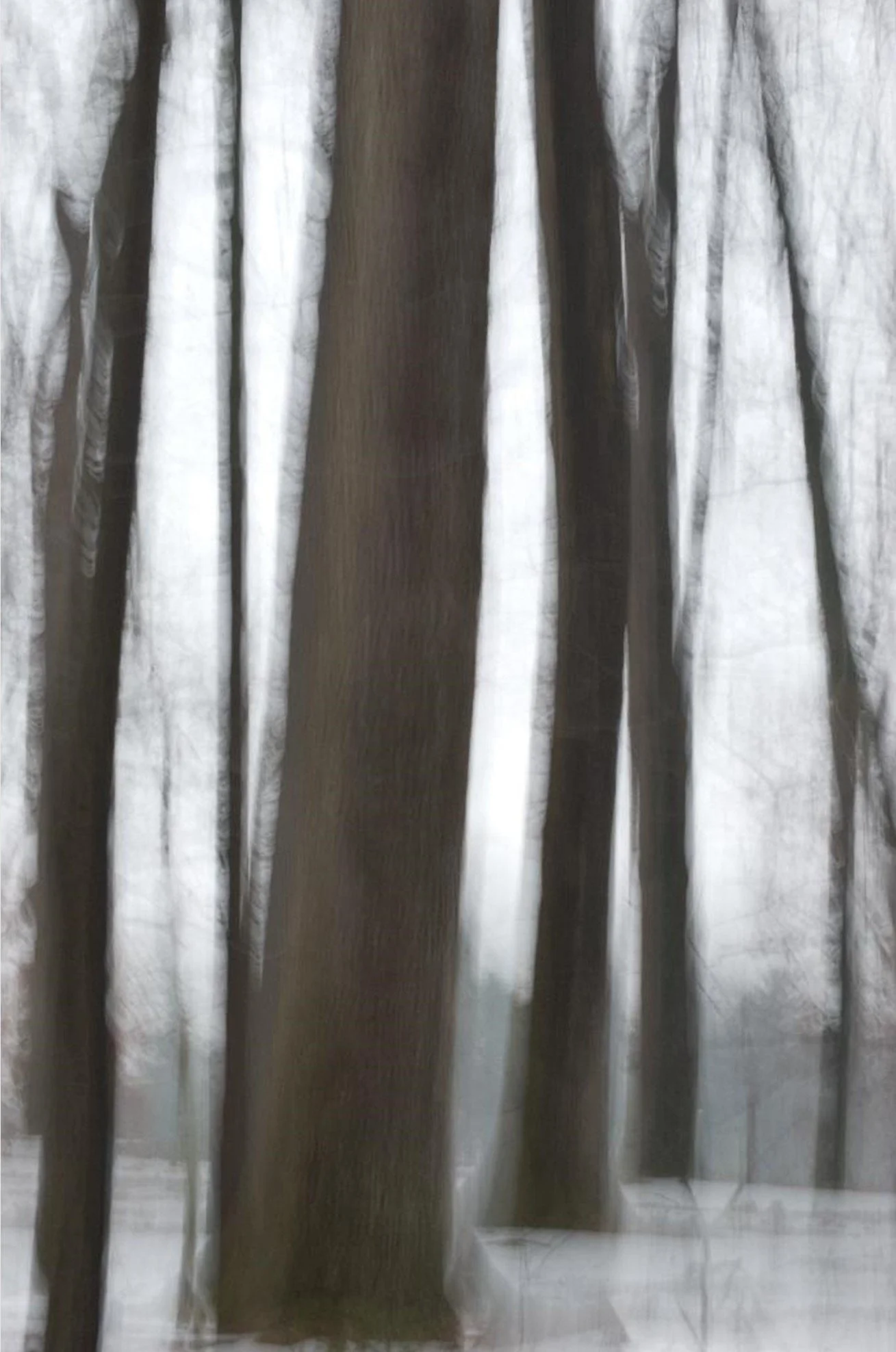 Lakeville Winter.jpg