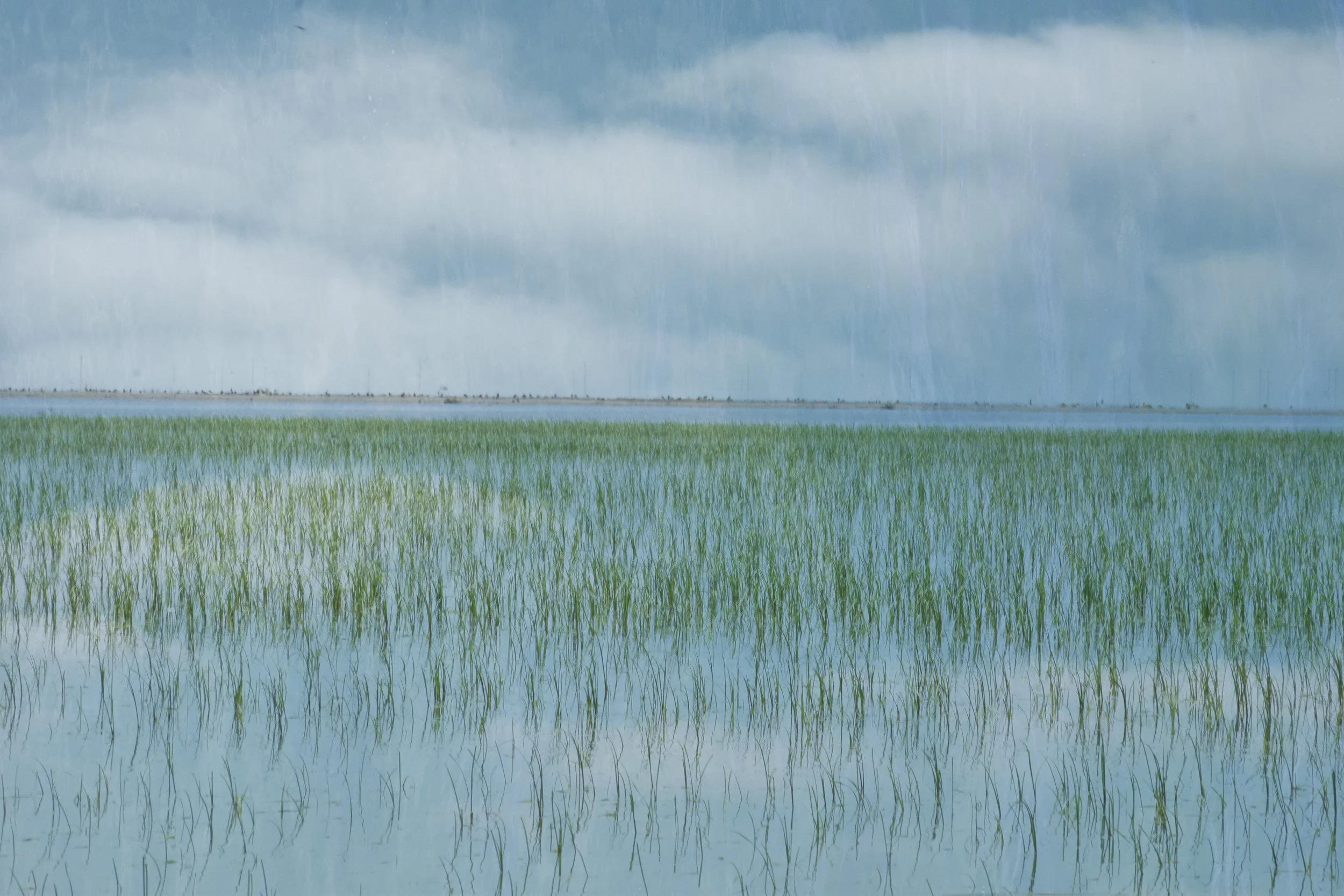 DSC_0234 1 1 1 1 1 - Copy.jpg