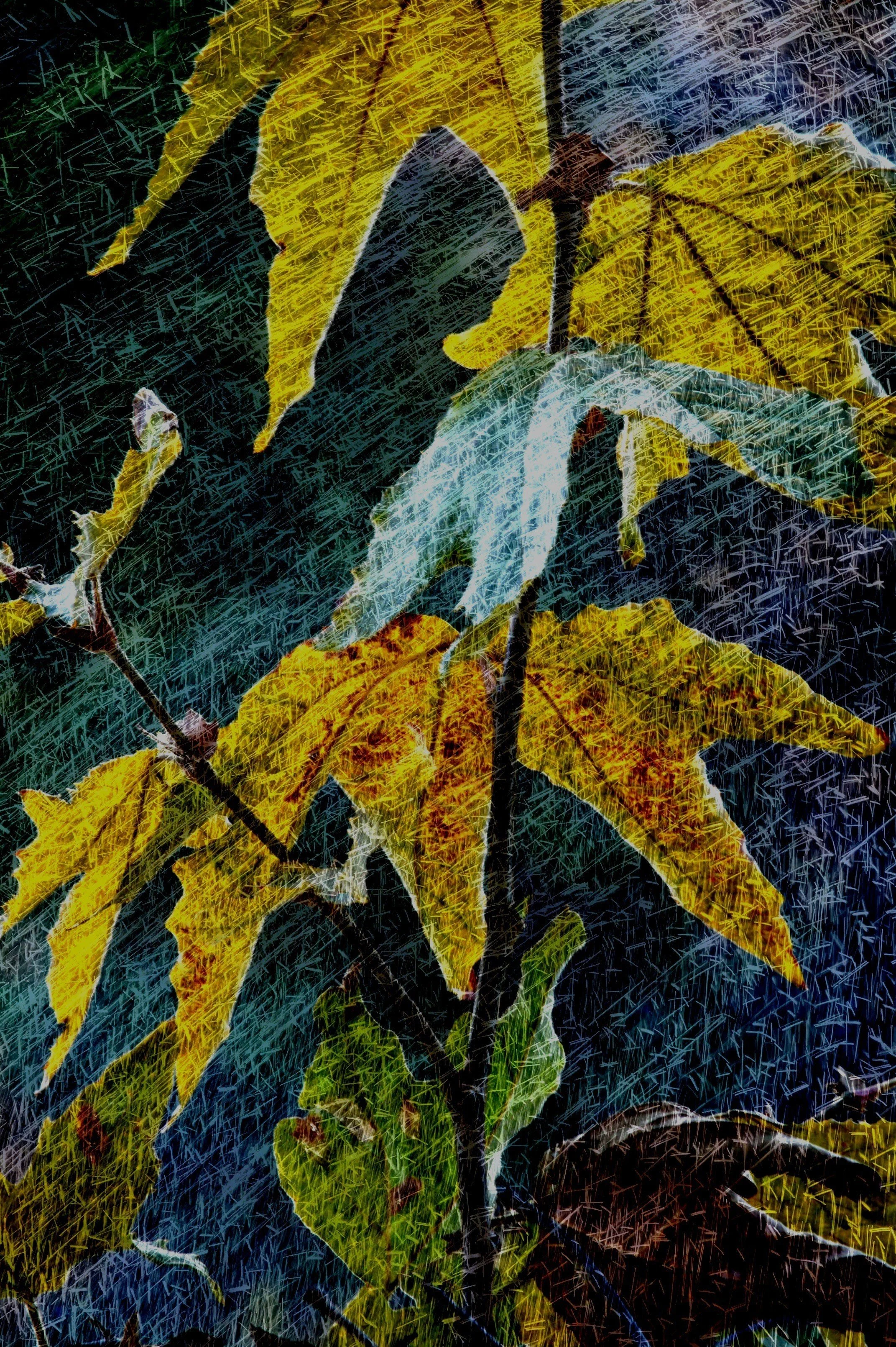 IMG_5495 17 7 7 7 - Copy.jpg