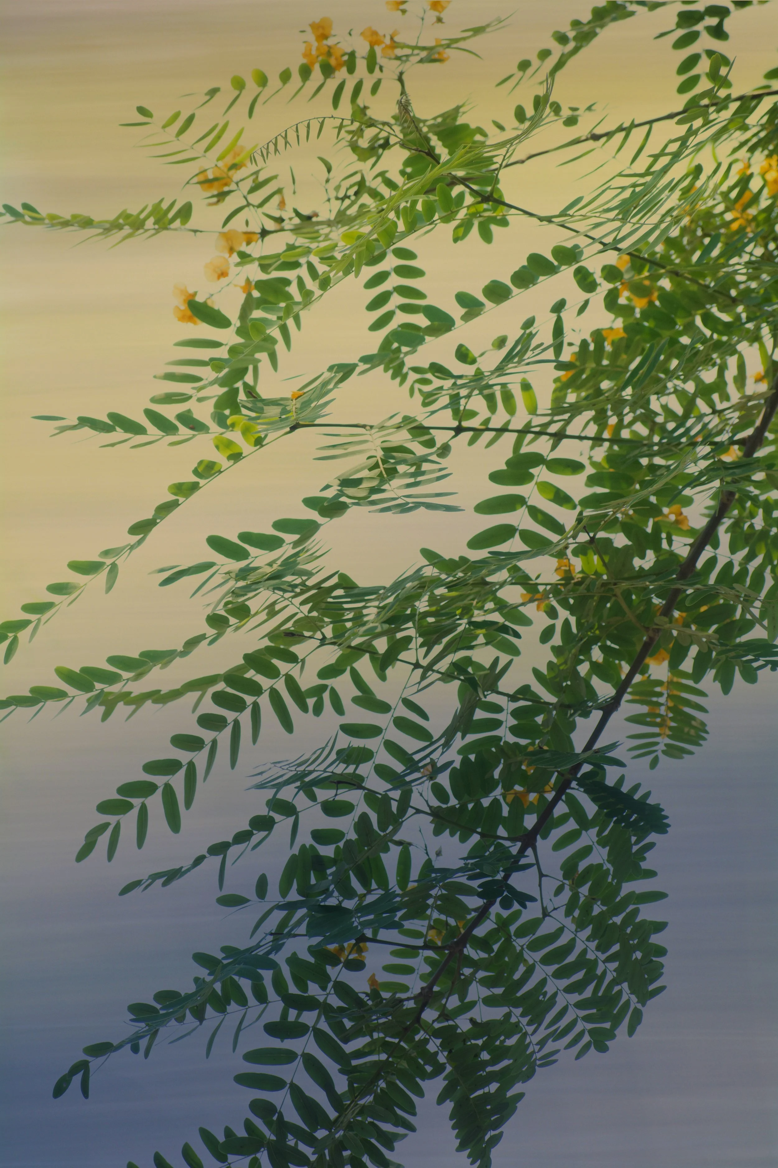 DSC_0127 1 1 1 1 1 1 - Copy.jpg