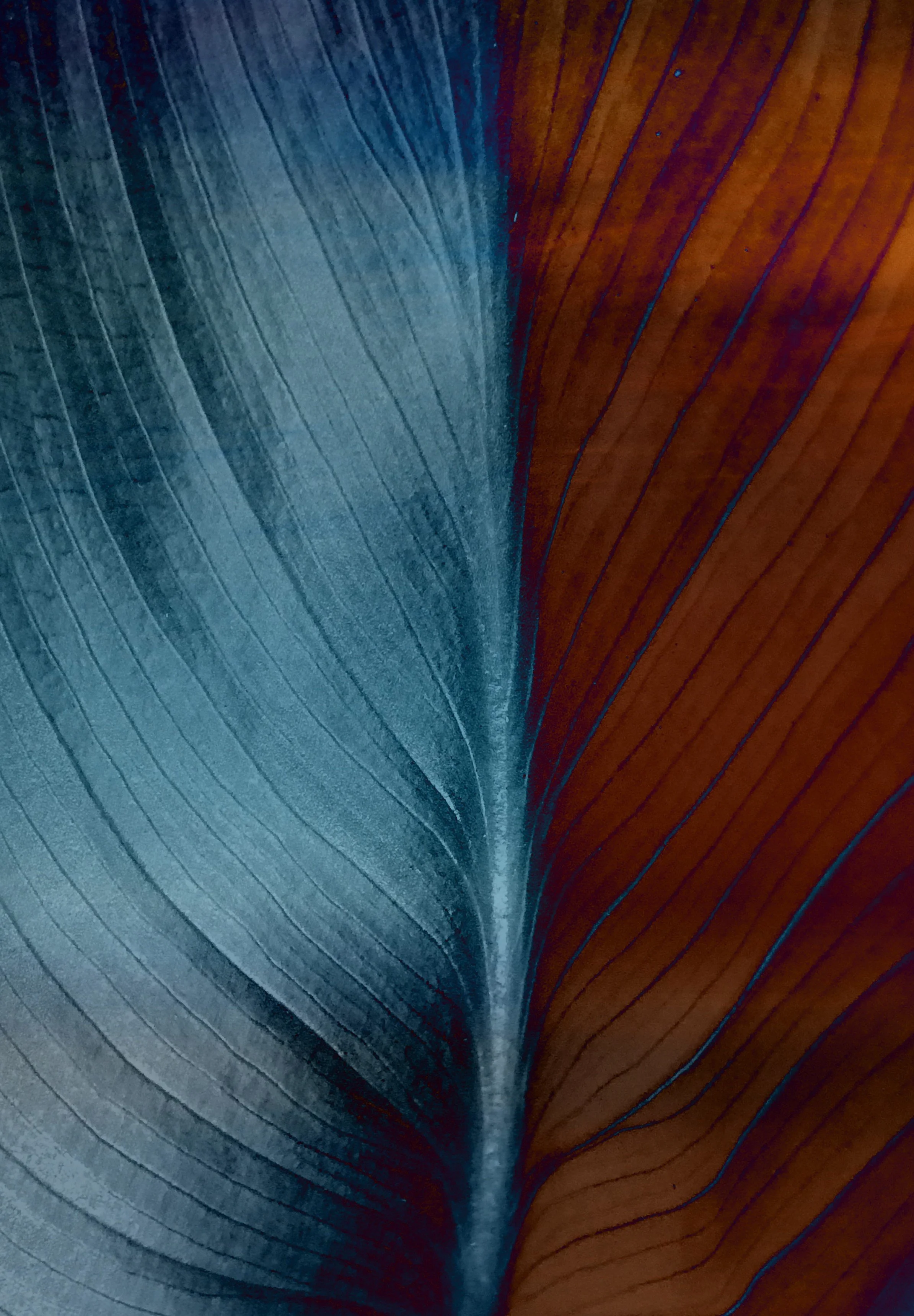 1.4_IMG_2801 - Copy_1.jpeg