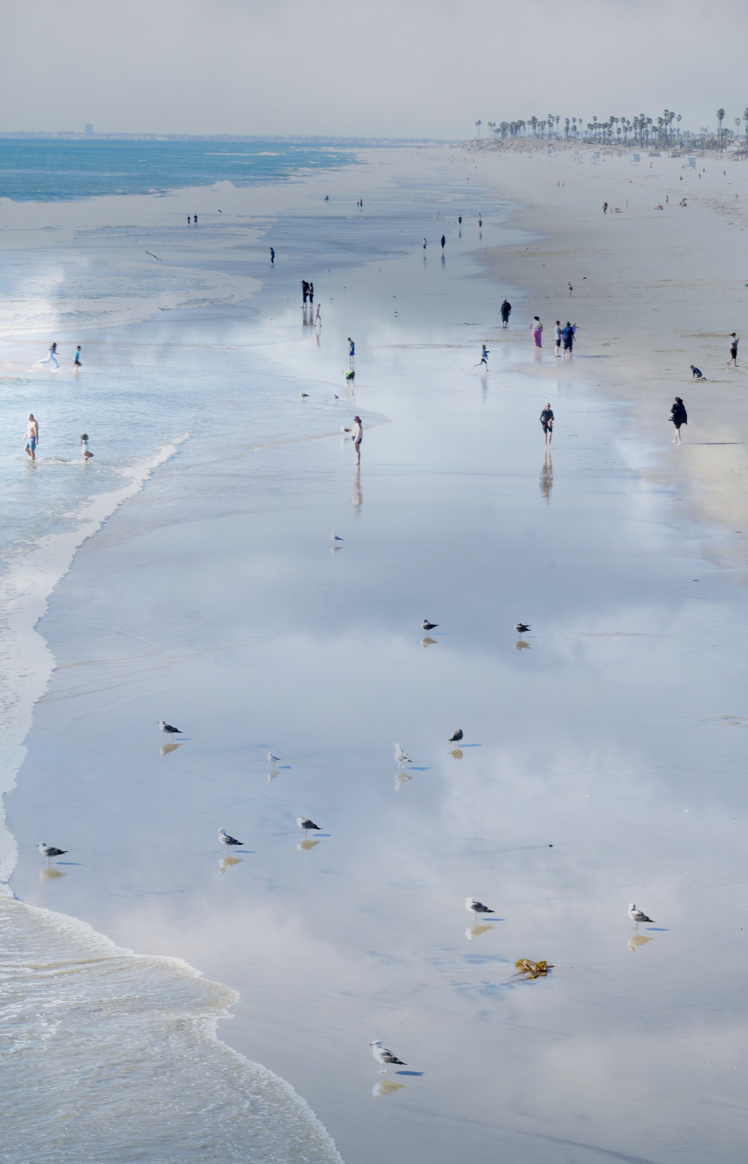 DSC_0009 1 15 - Copy.jpg