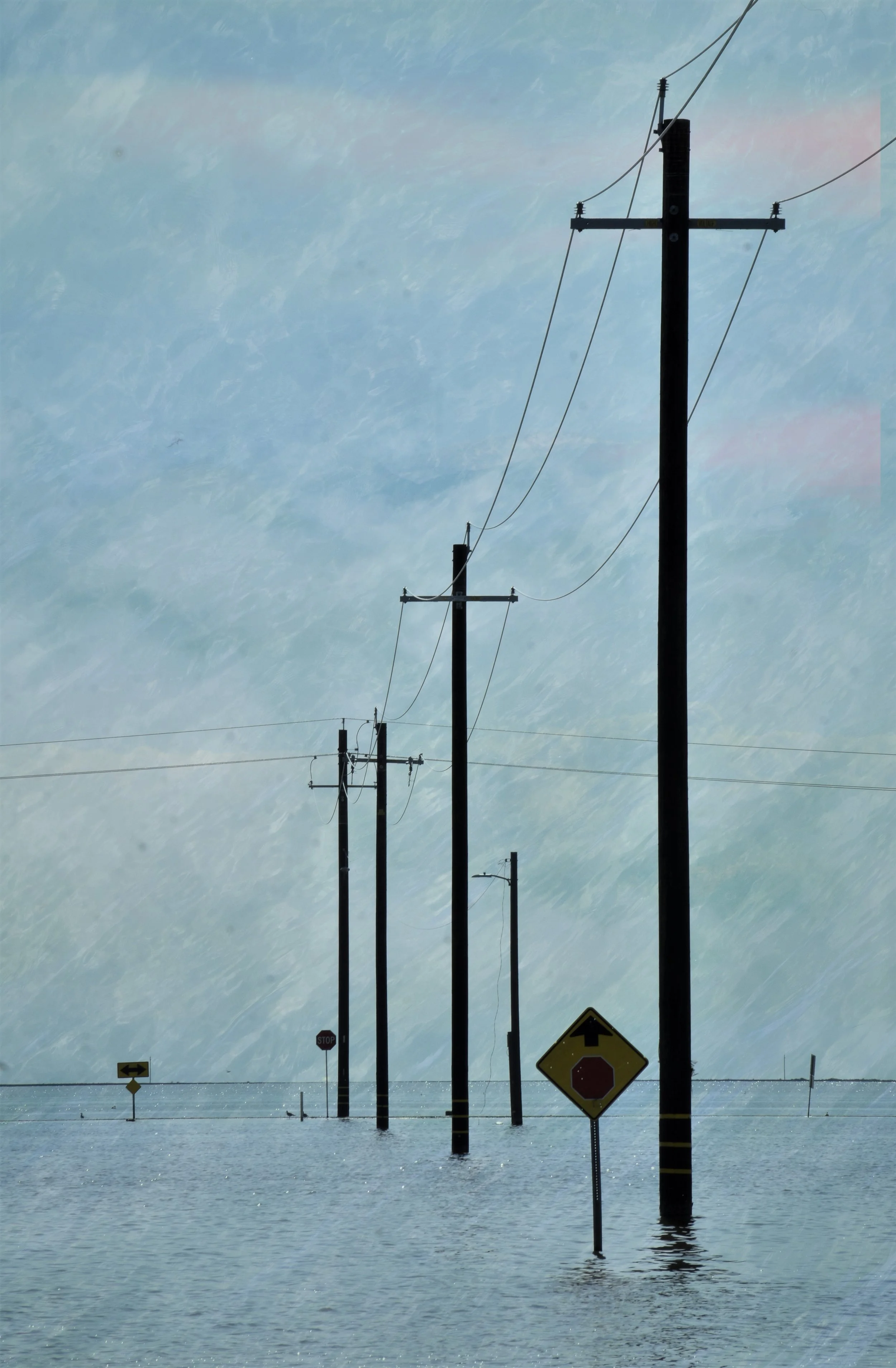 DSC_0172 1 1 1 1 - Copy 1.jpg