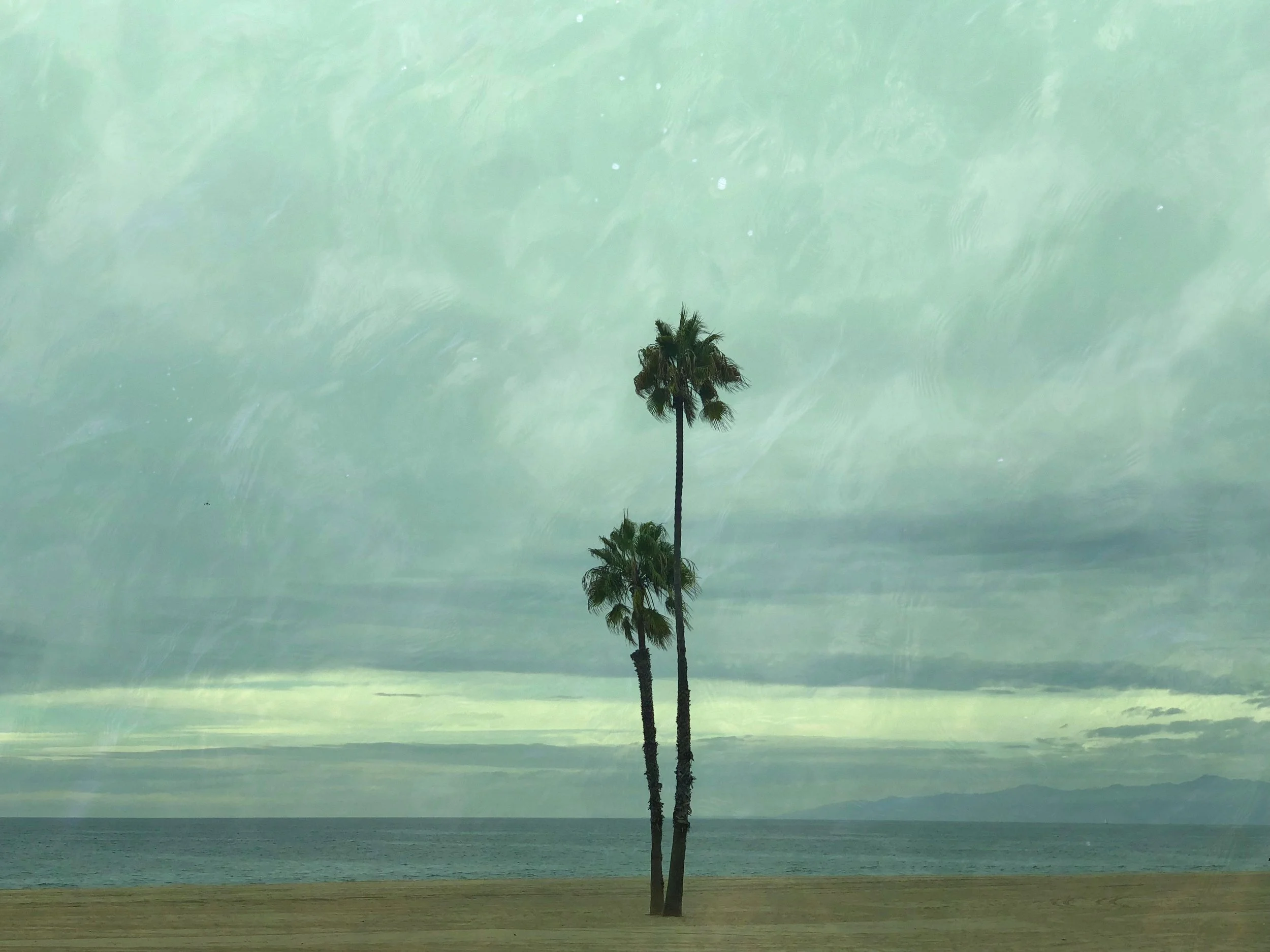 IMG_1395 1 1 1 - Copy.jpg