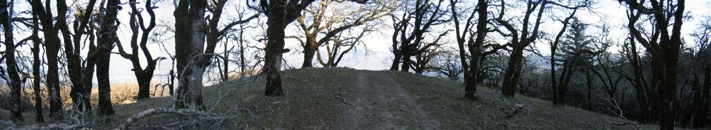 Copy of Dyerville Loop (Large) (2).jpg