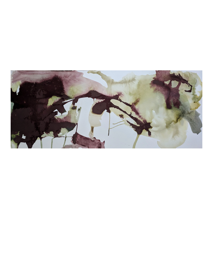 Shiraz in the Shade 500 x 1200.png