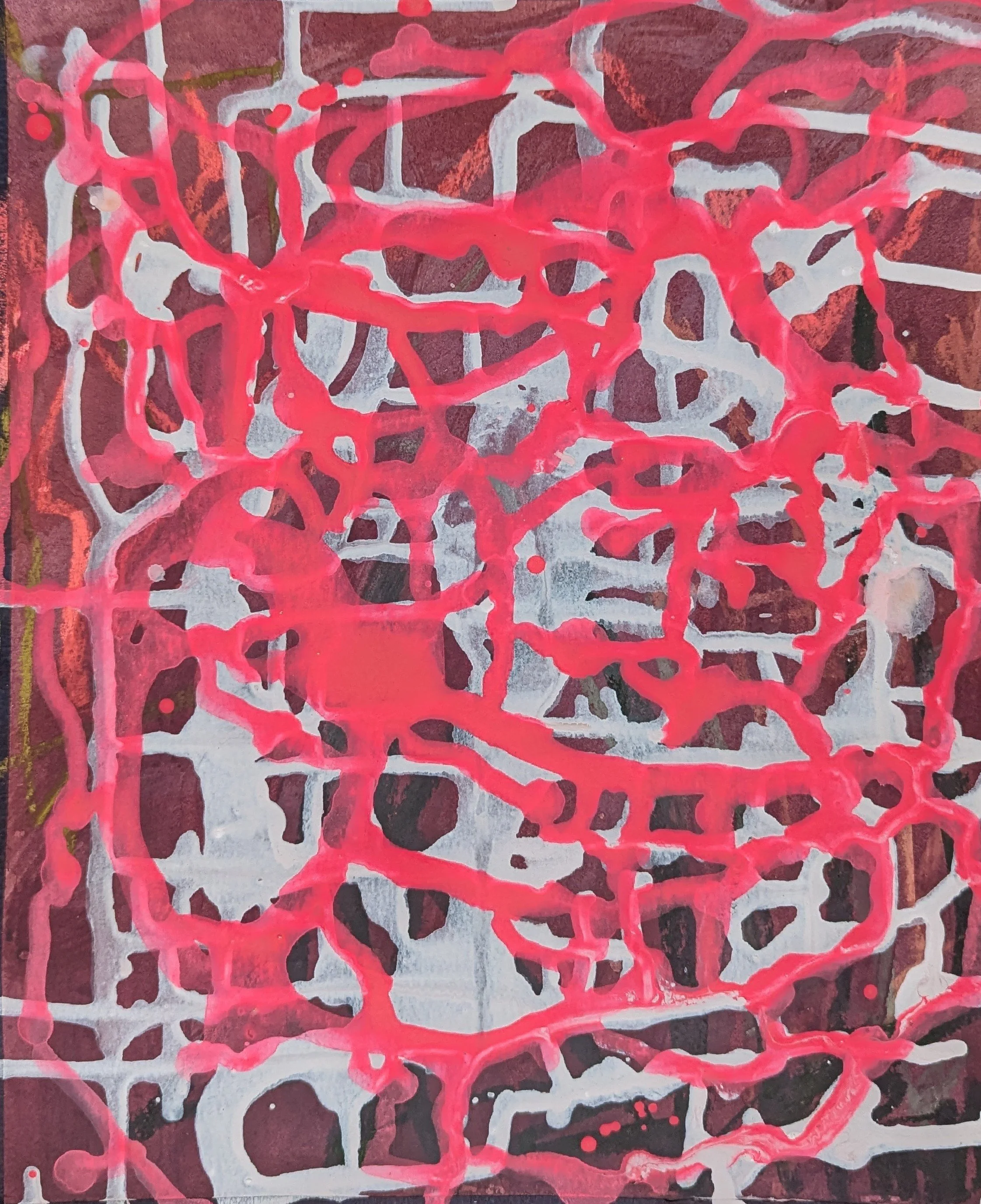 11 Snail Mapping.jpg