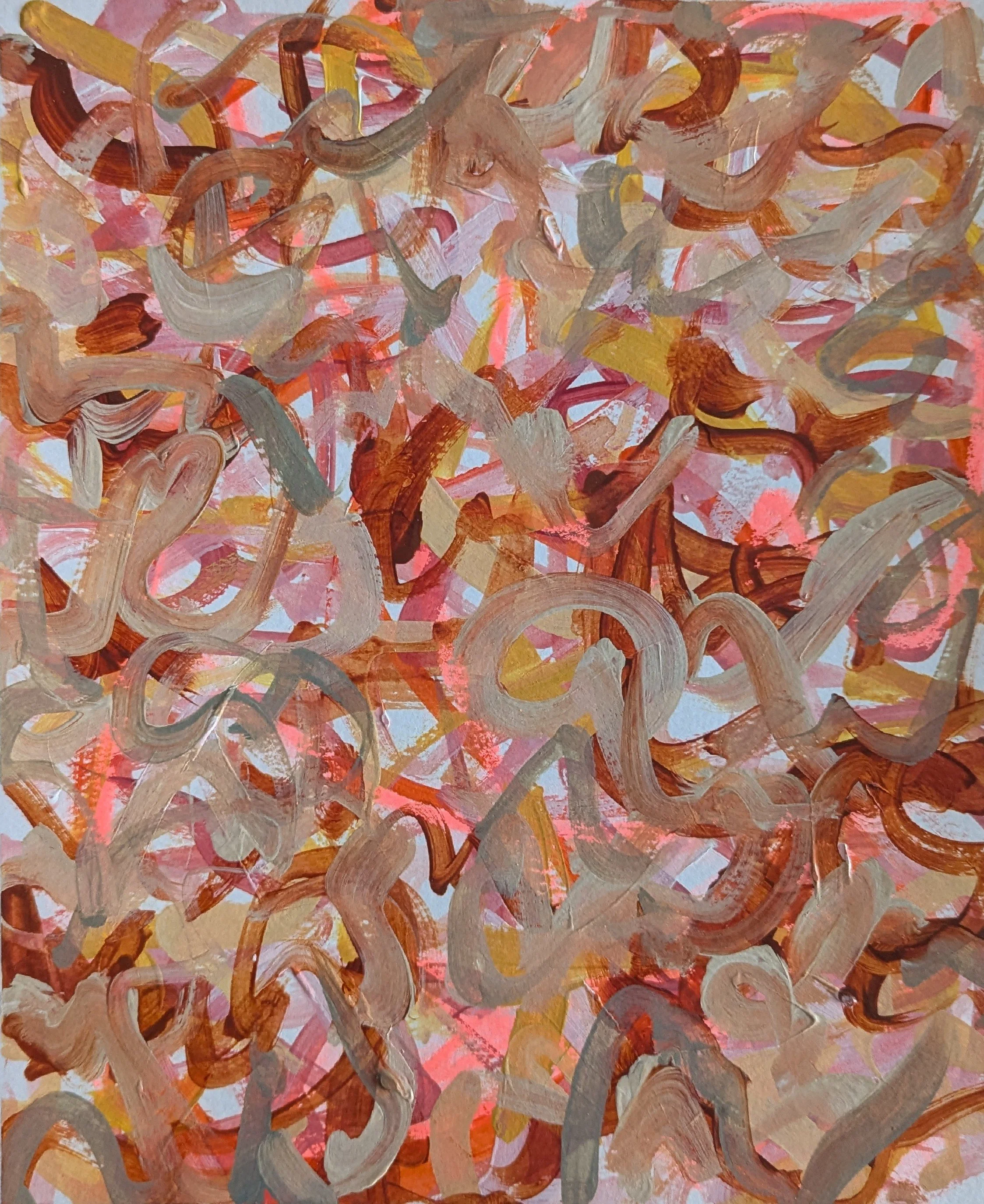 06 The Flowering Outback.jpg