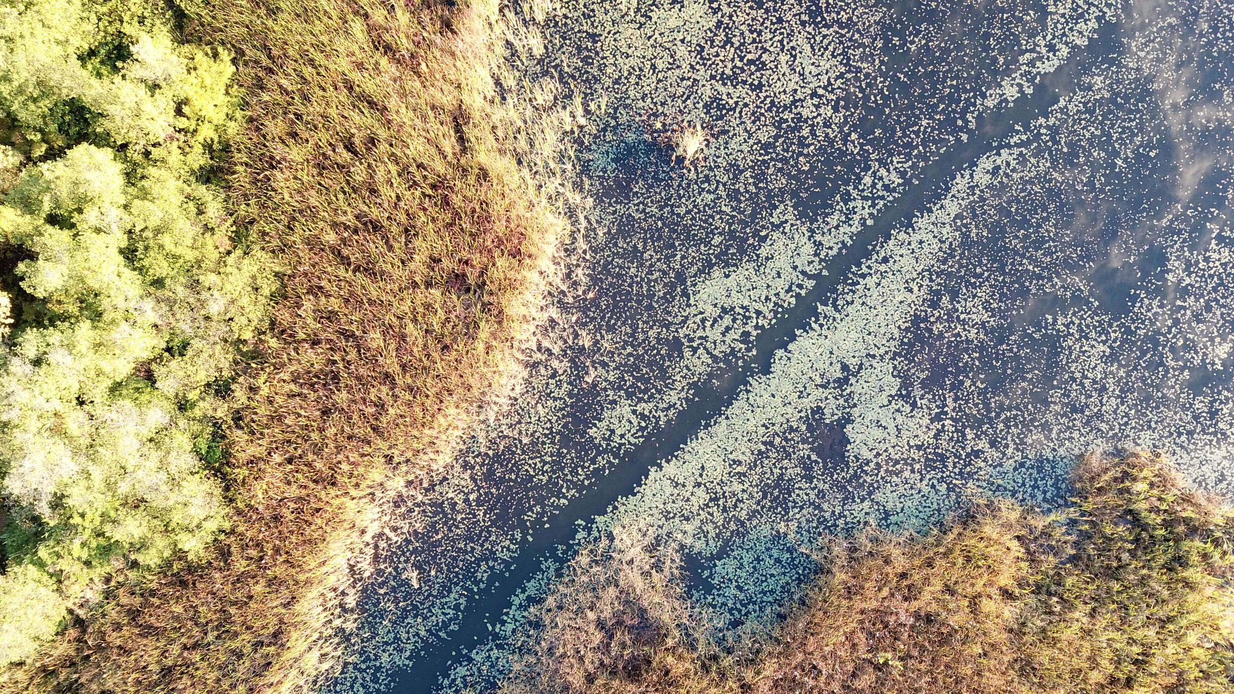 DJI_0006- posted.JPG