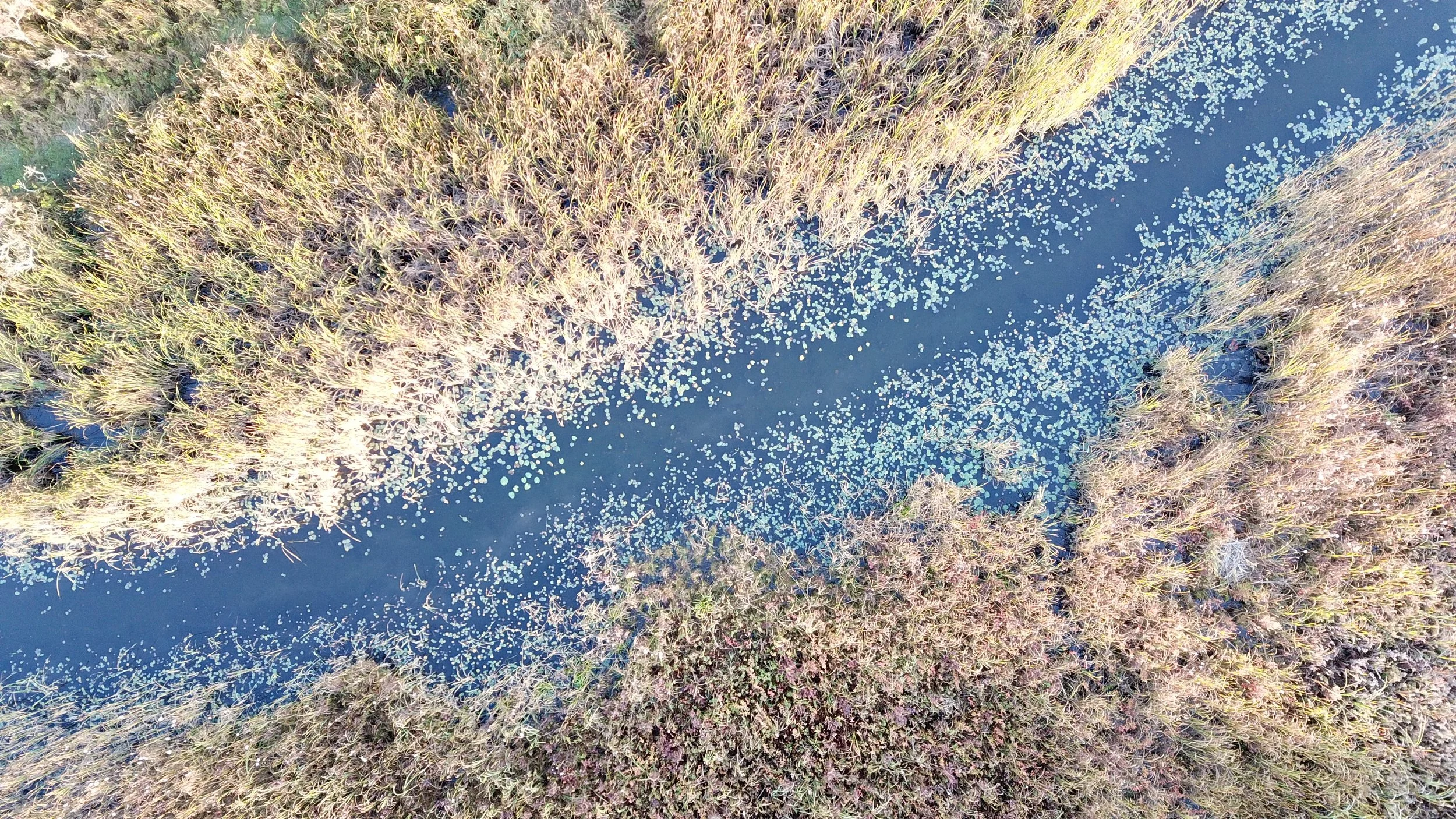 DJI_0005 - posted.JPG