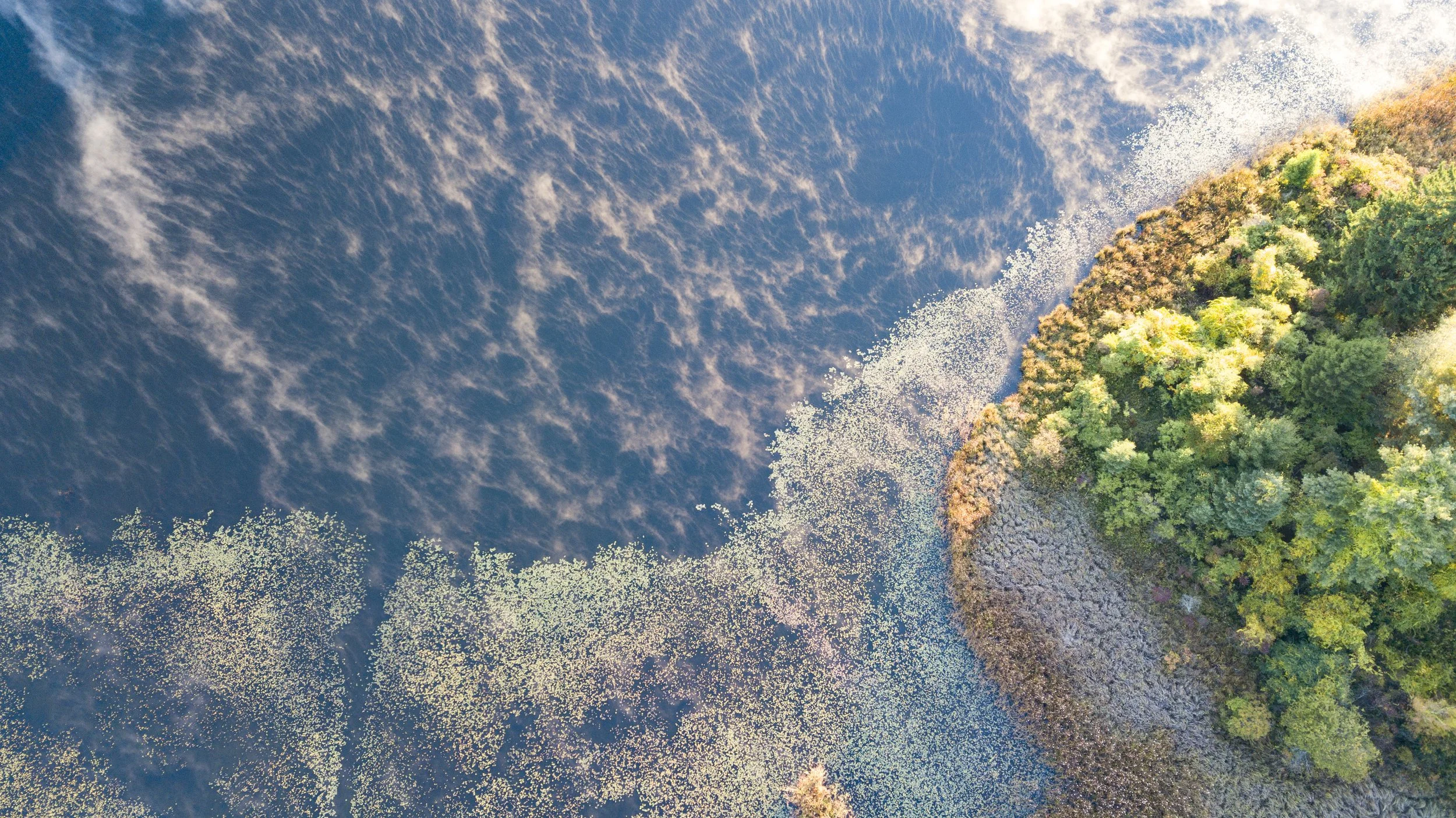 DJI_0004- Edited.jpg