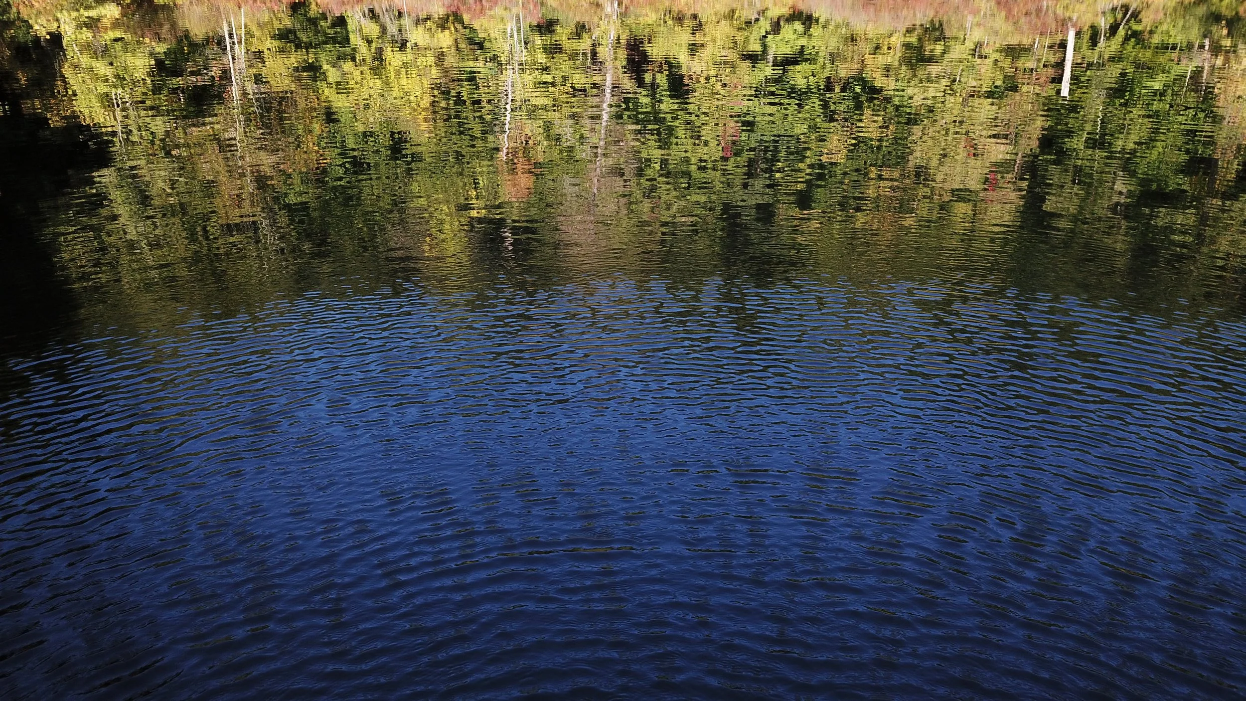 DJI_0182.JPG