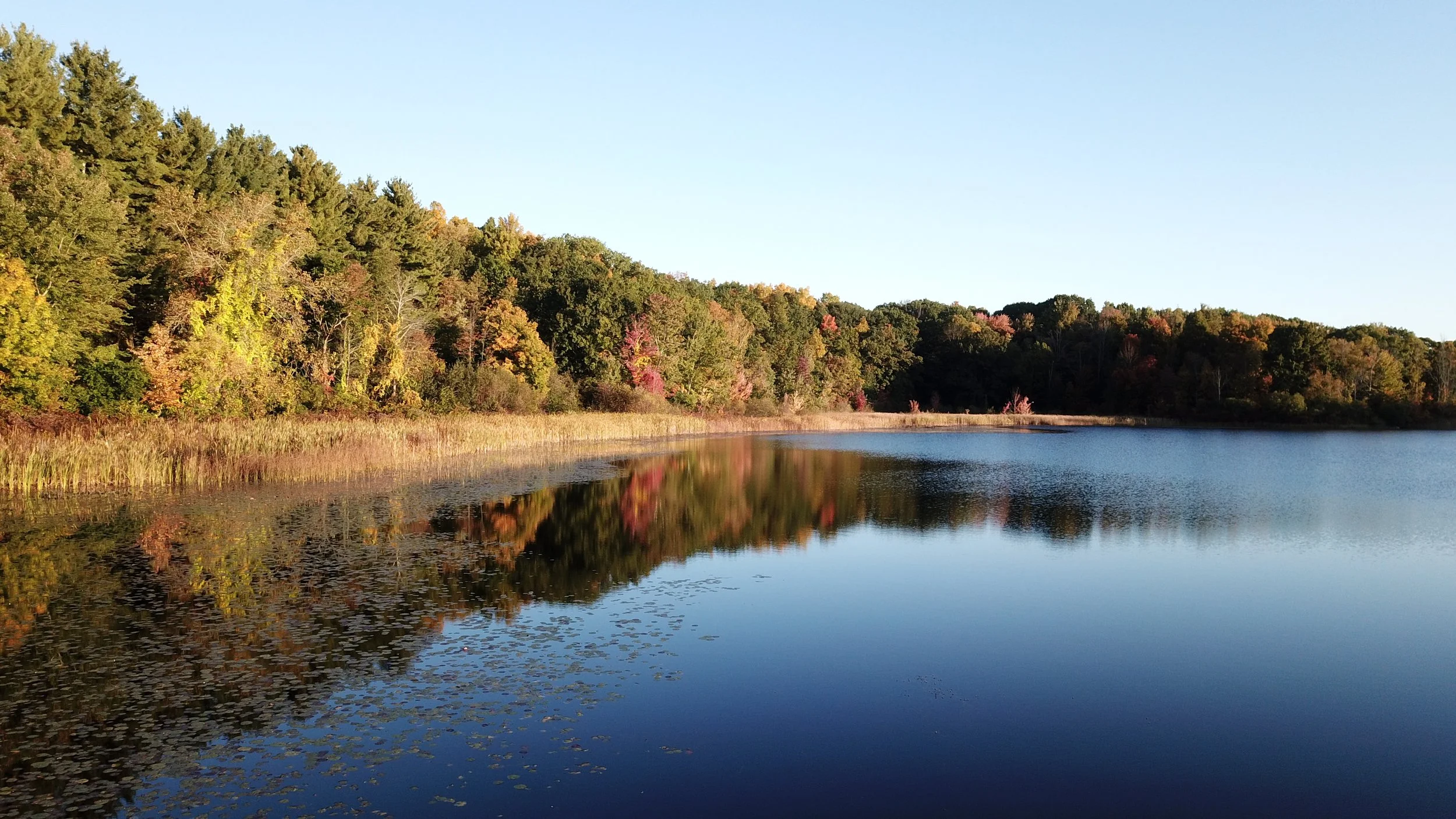 DJI_0001 - posted.JPG