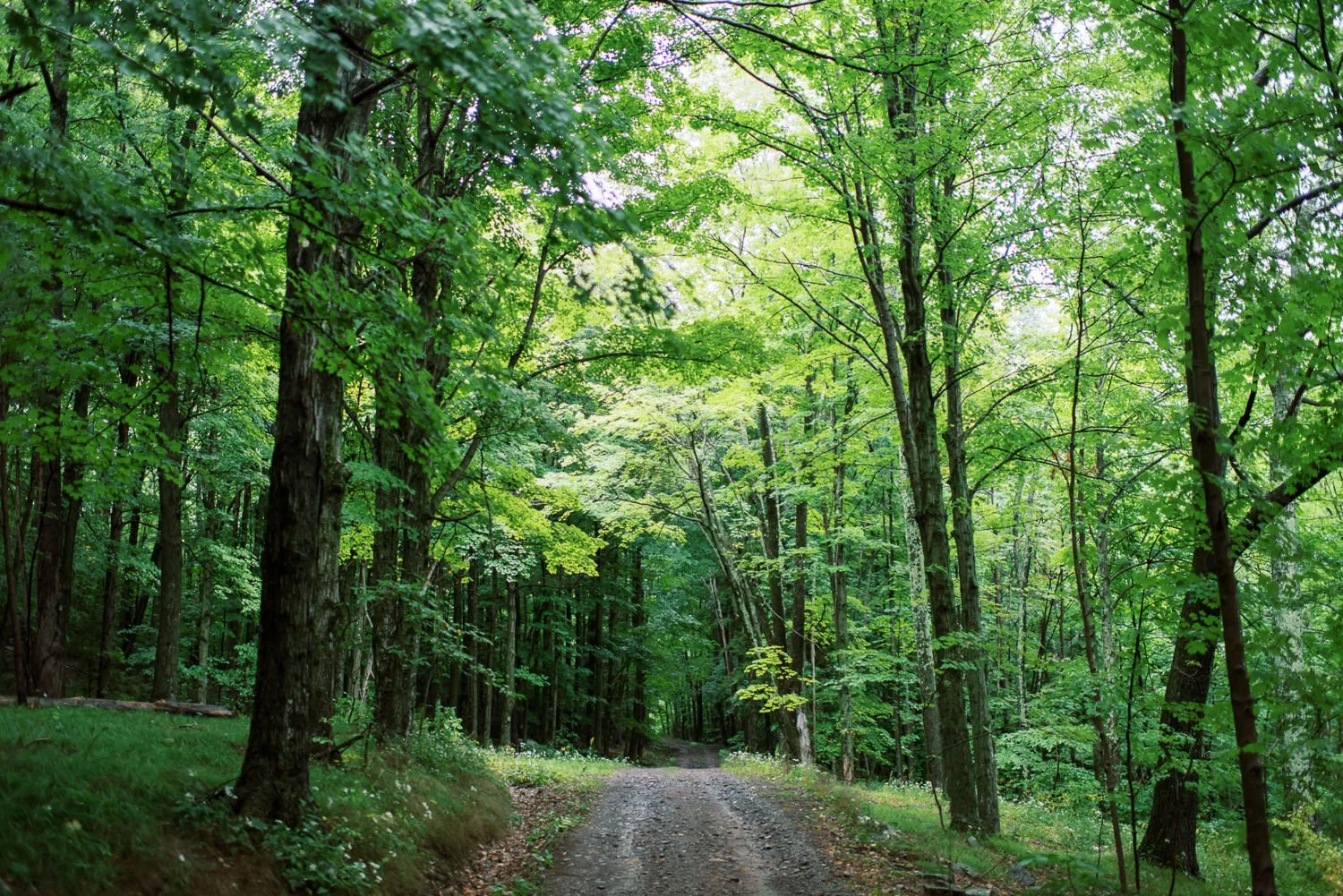 Deer Mountain Inn-4.JPG