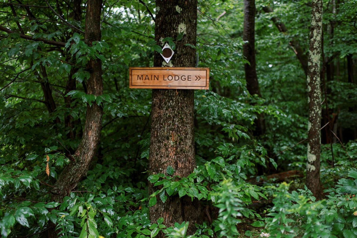 Deer Mountain Inn-7.JPG