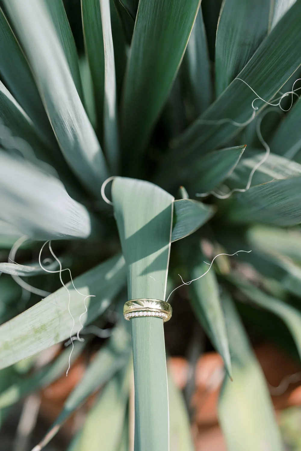 hutton brickyards wedding-5.JPG