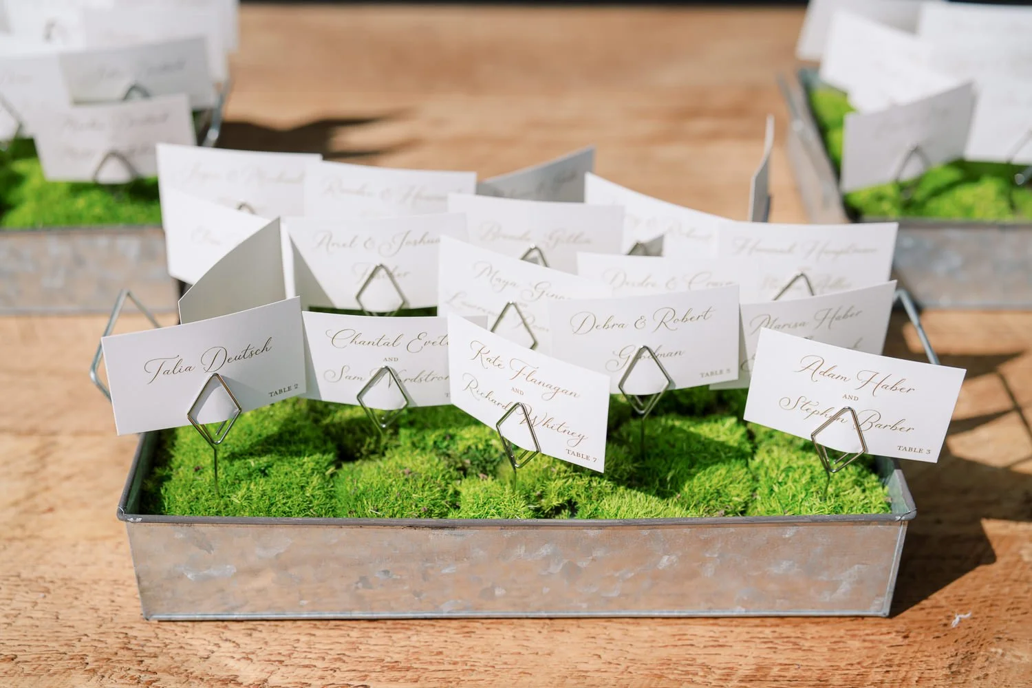 Gather Greene-44.JPG