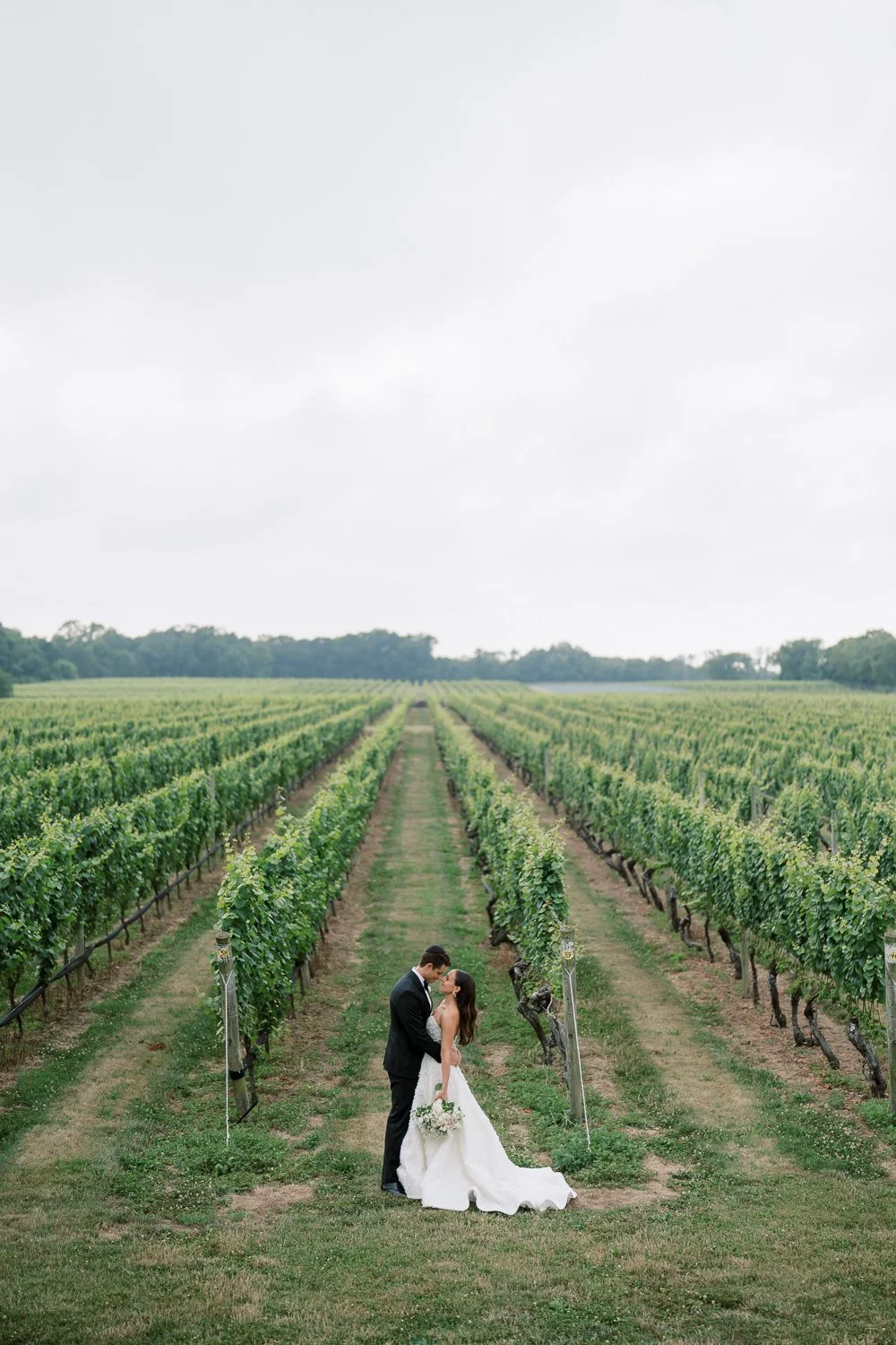 bedell cellars-99.JPG