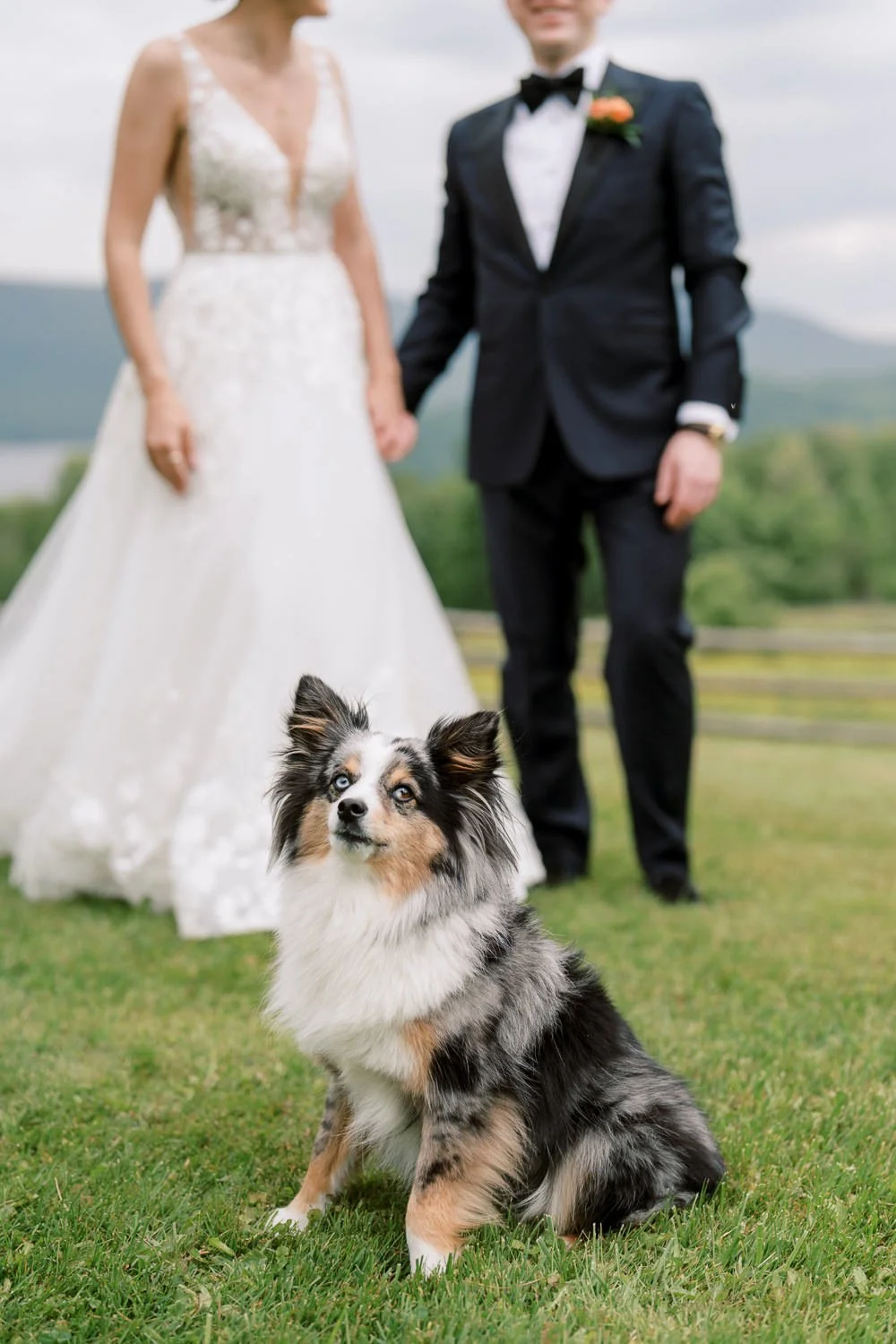 vermont wedding photography-39.JPG