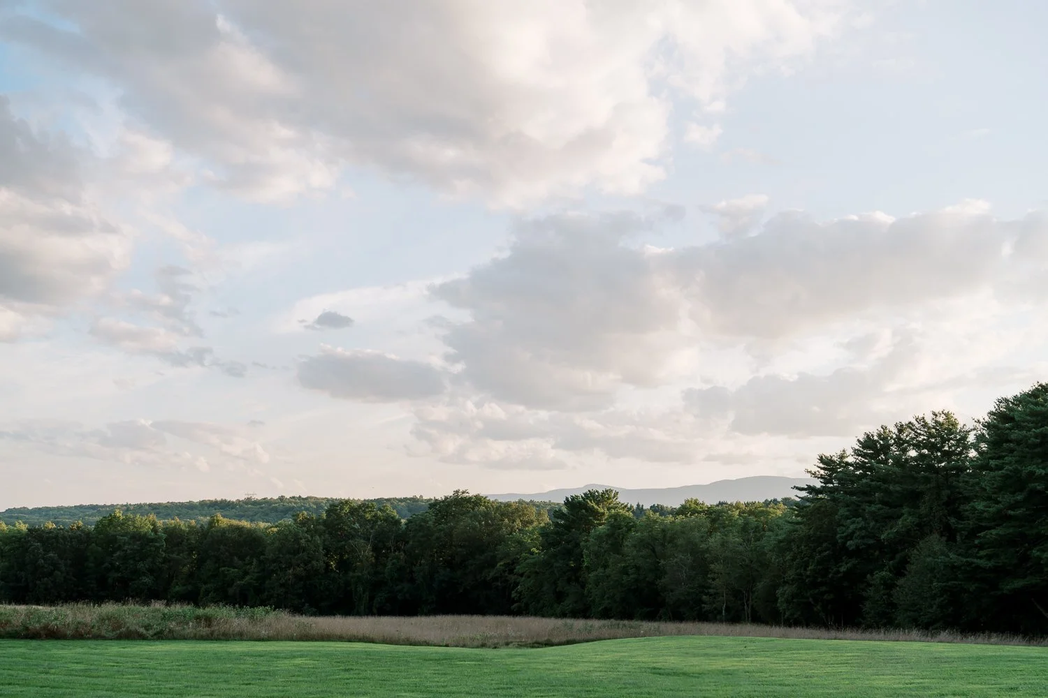 Gather Greene-106.JPG