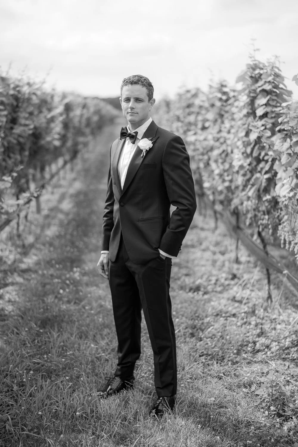 bedell cellars-42.JPG