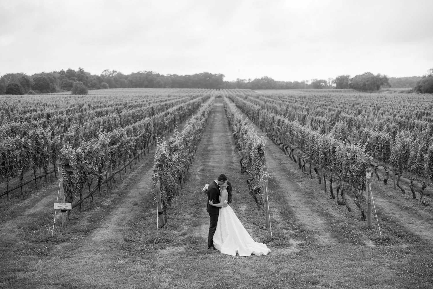 bedell cellars-98.JPG