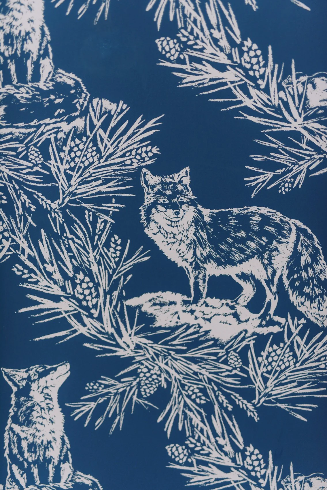 Foxfire Mountain House-13.JPG