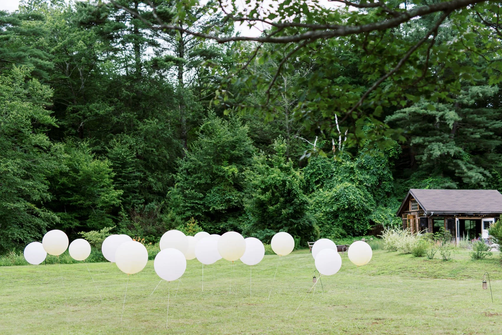 Foxfire Mountain House-68.JPG