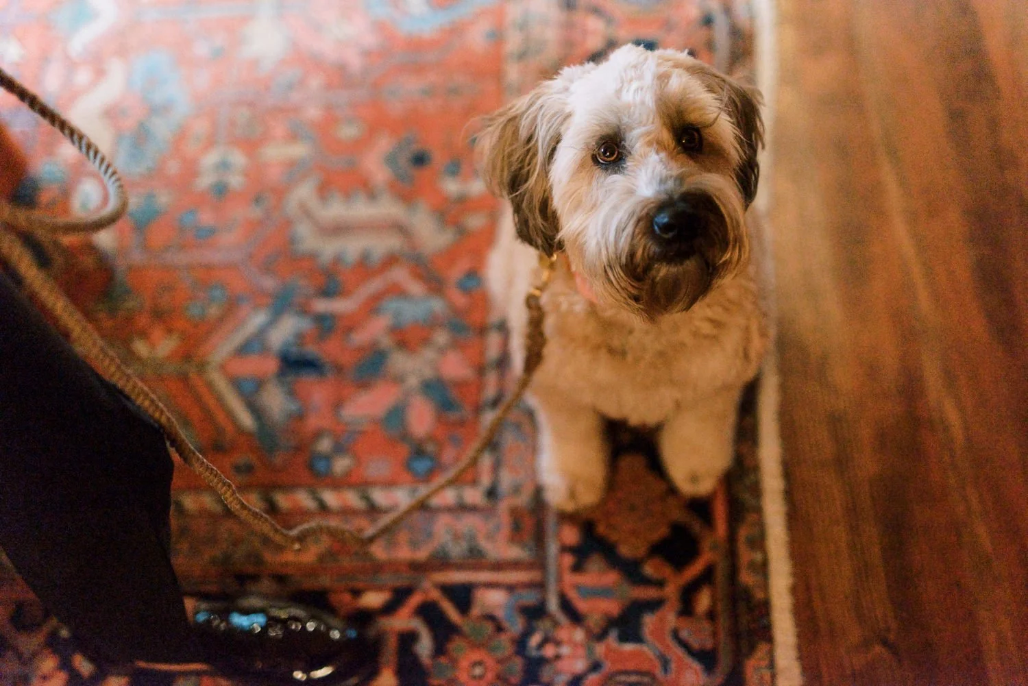 Deer Mountain Inn-27.JPG