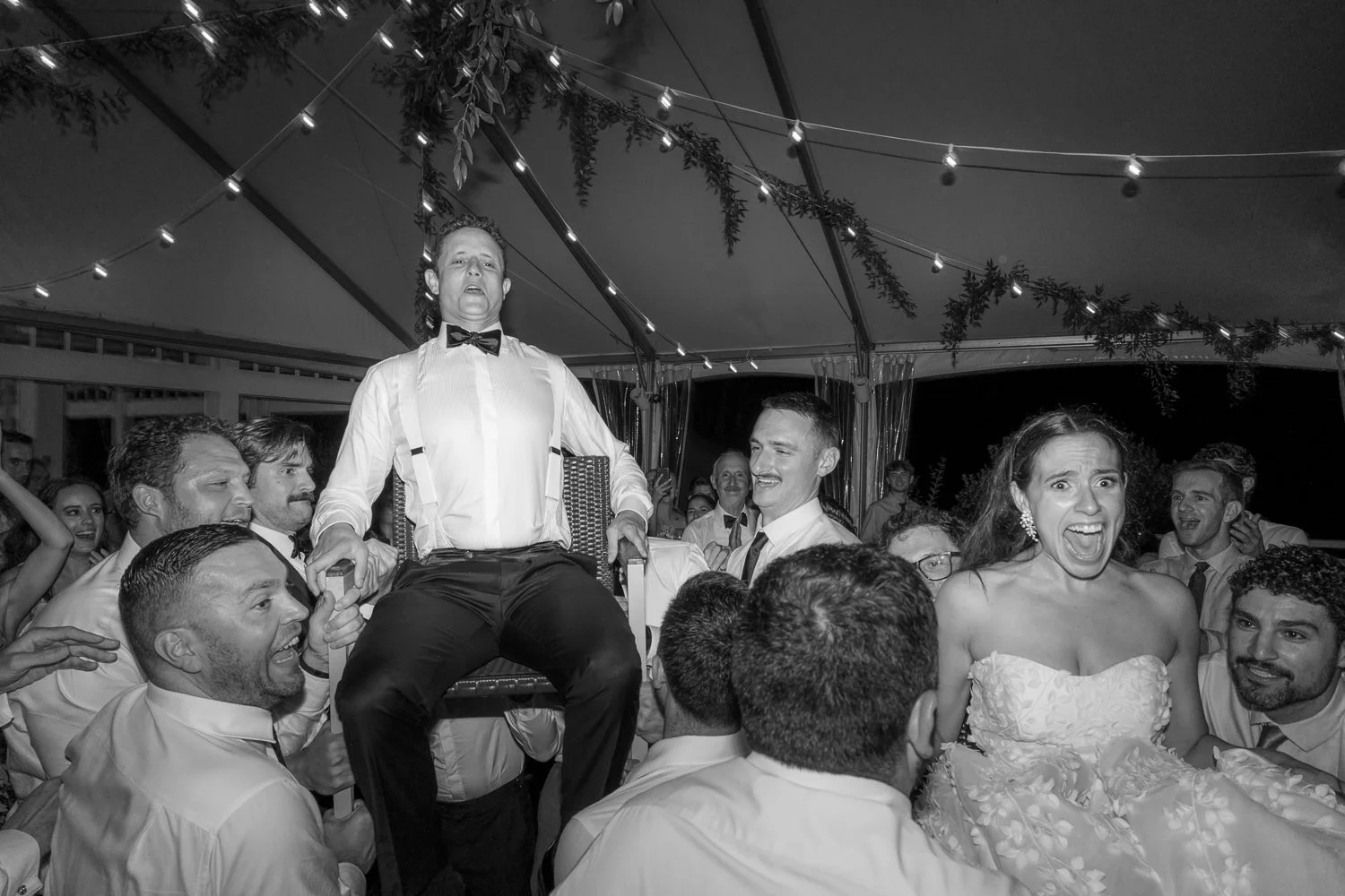 bedell cellars-138.JPG