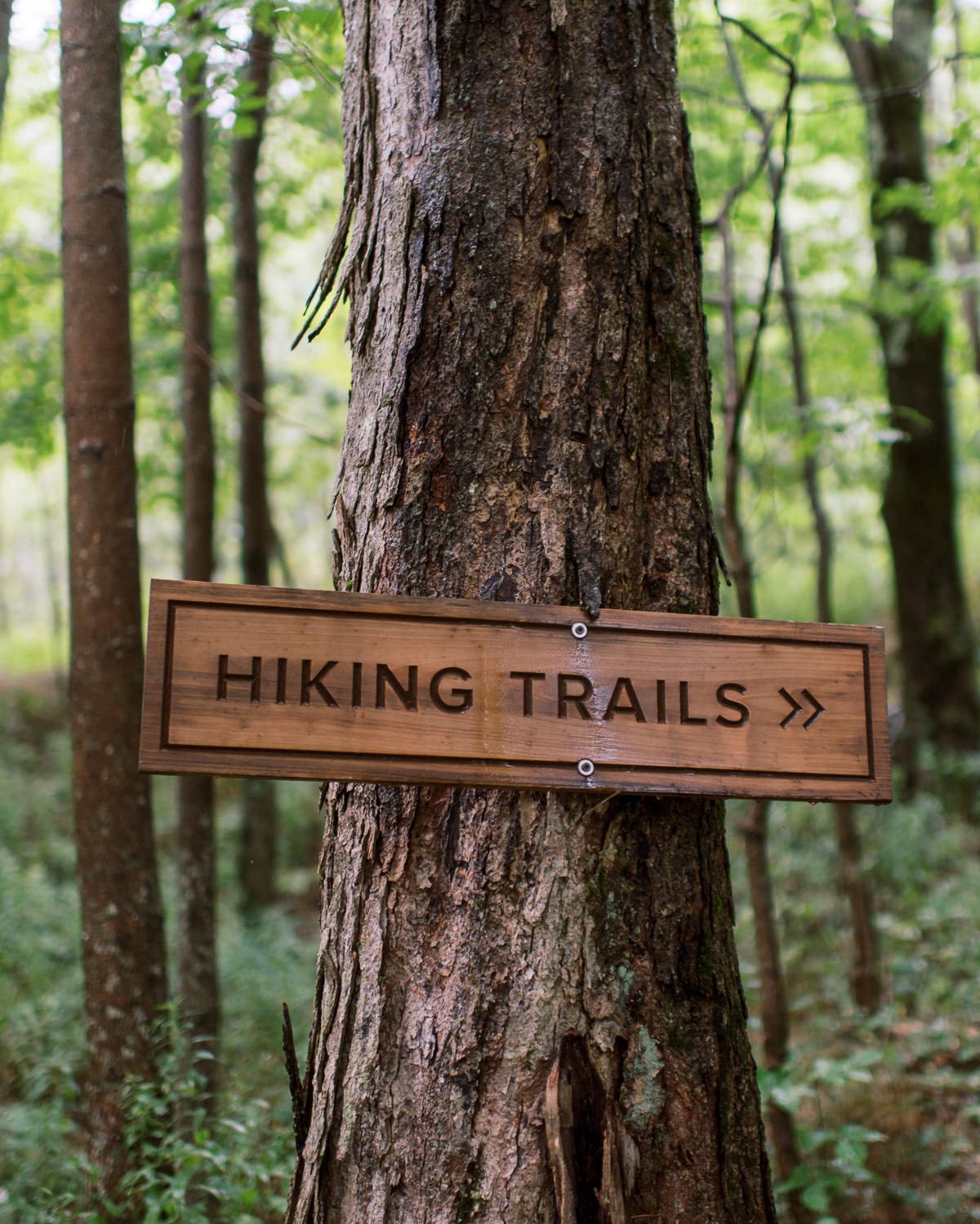 Deer Mountain Inn-3.JPG