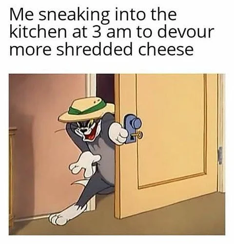 Scoffing cheese by fridge light  instead of counting sheep 😴 🐑 #midnightsnackgoals

#vegan #dairyfree #vegancheese #plantbased #nudairy #NZ #veganeats #madeinNZ #plantpowered #yum #cheese #health #australia