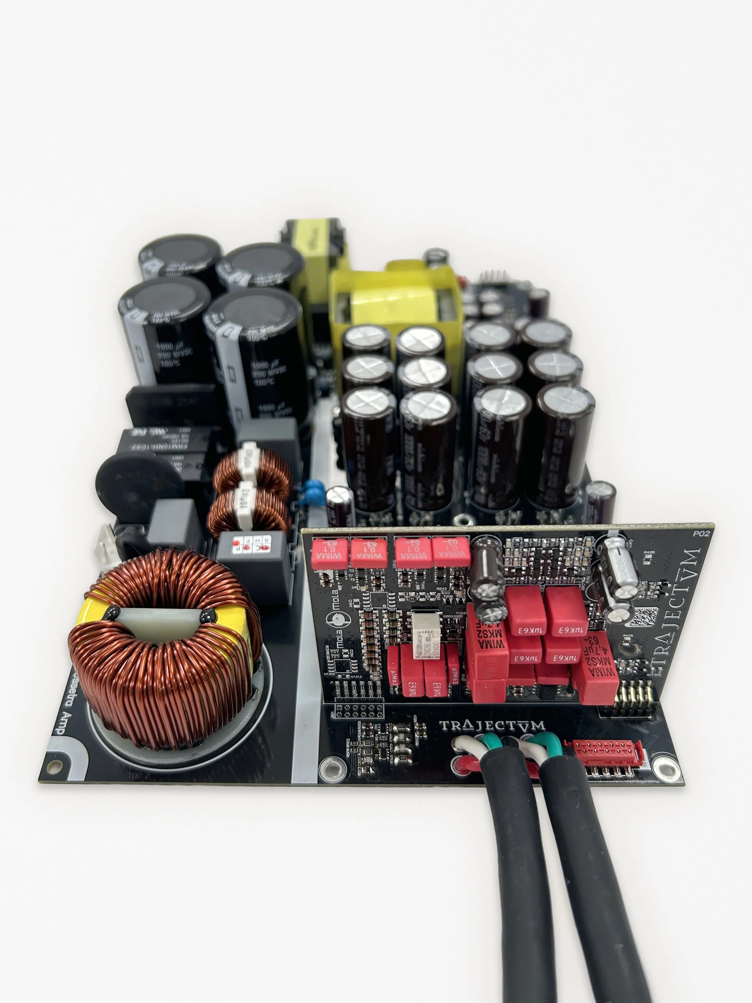 Mola-Molao_Ossetra_internal-2_RGB.jpg