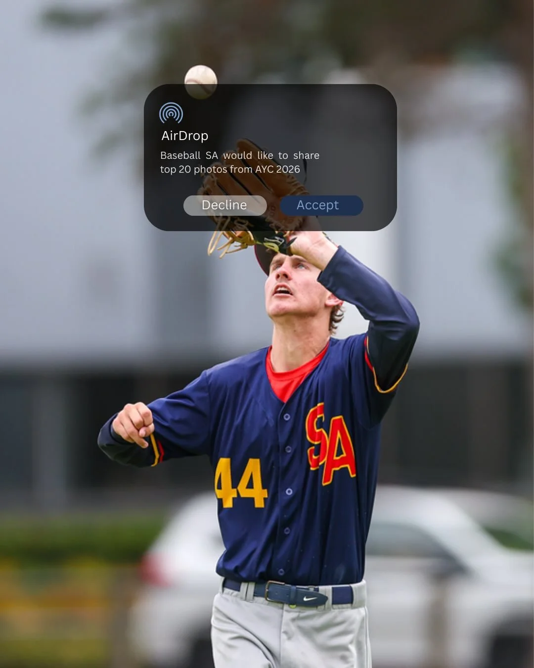 Ping📲

📸 @hughwhittle.media 
#AYC #baseballsa