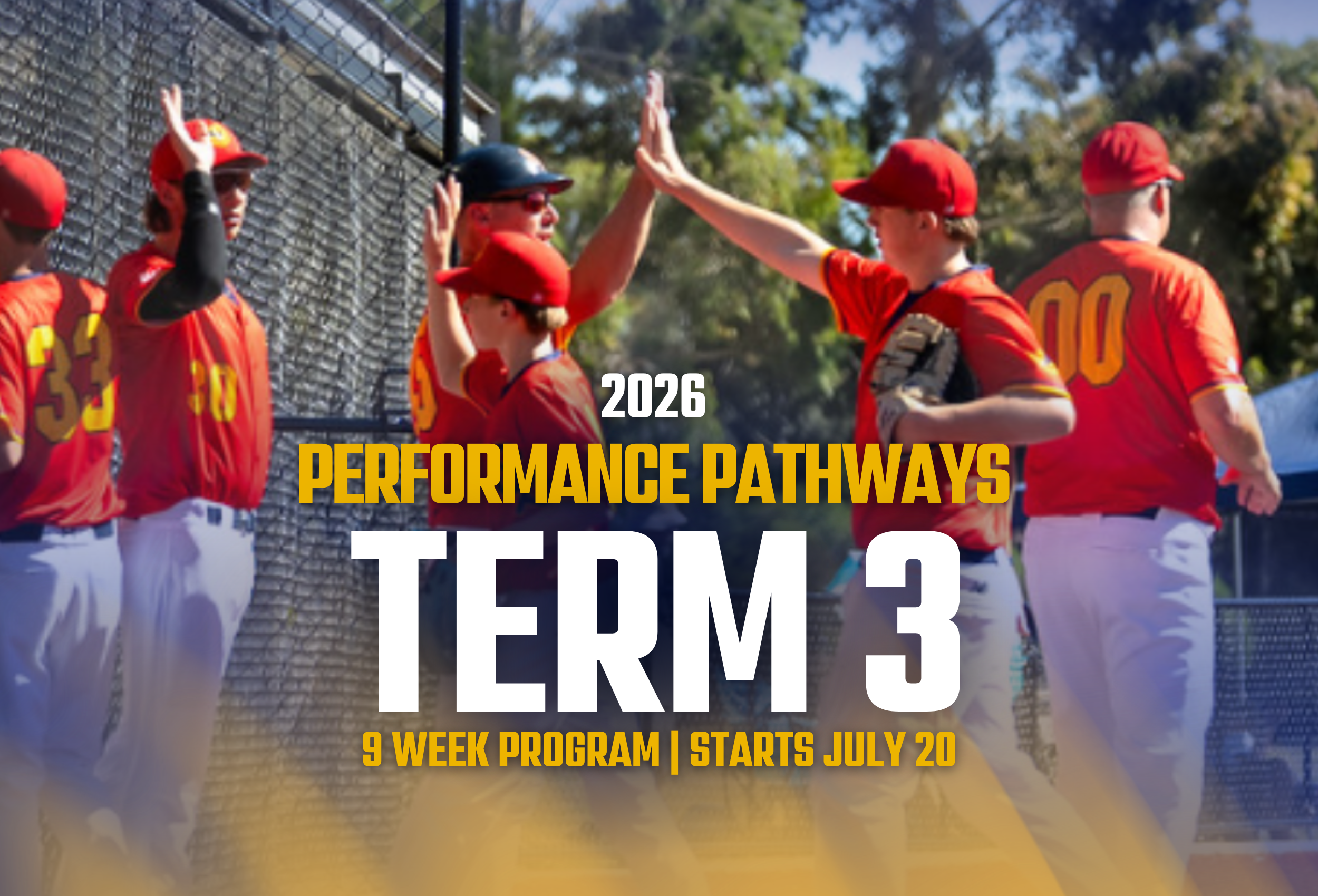 Term 3 Performance Pathways Programs