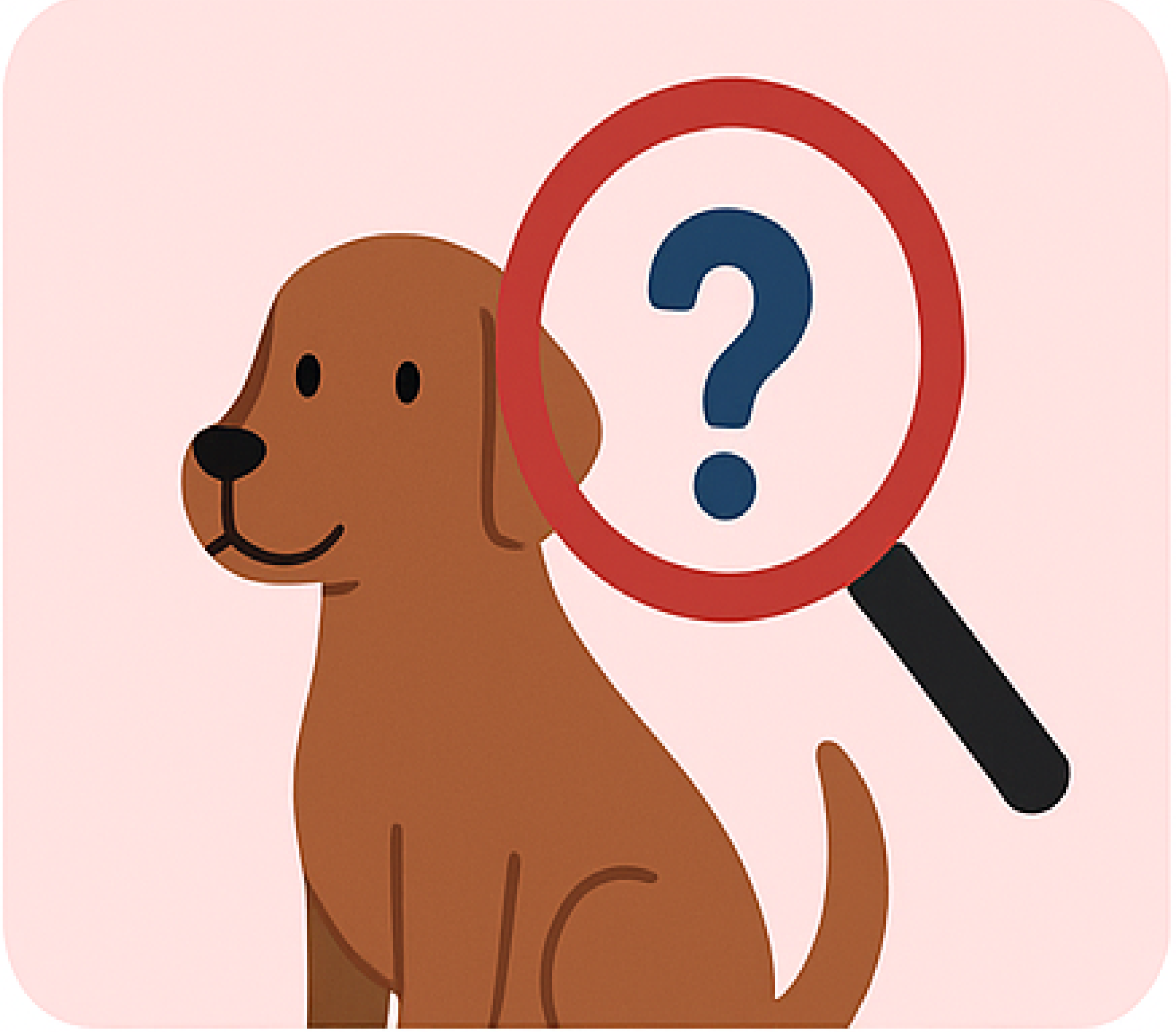 Illustration eines Labradors mit einer Lupe und einem Fragezeichen
