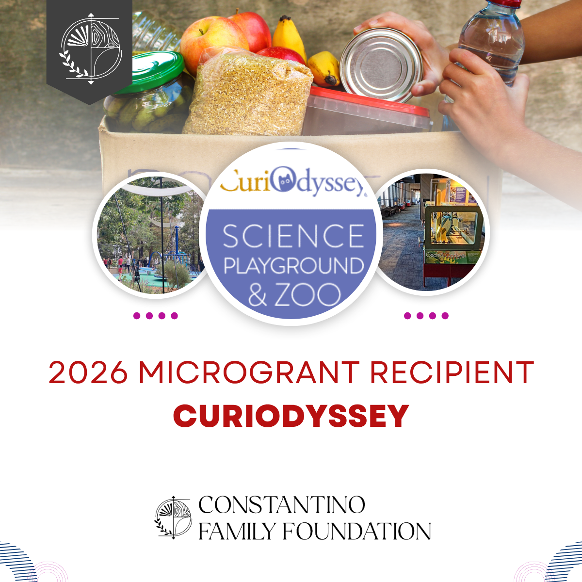 The Constantino Family Foundation awarded a first-time microgrant to CuriOdyssey at Coyote Point to support its mission of providing hands-on STEM learning experiences for children and families. Serving visitors and school groups from across the Bay 