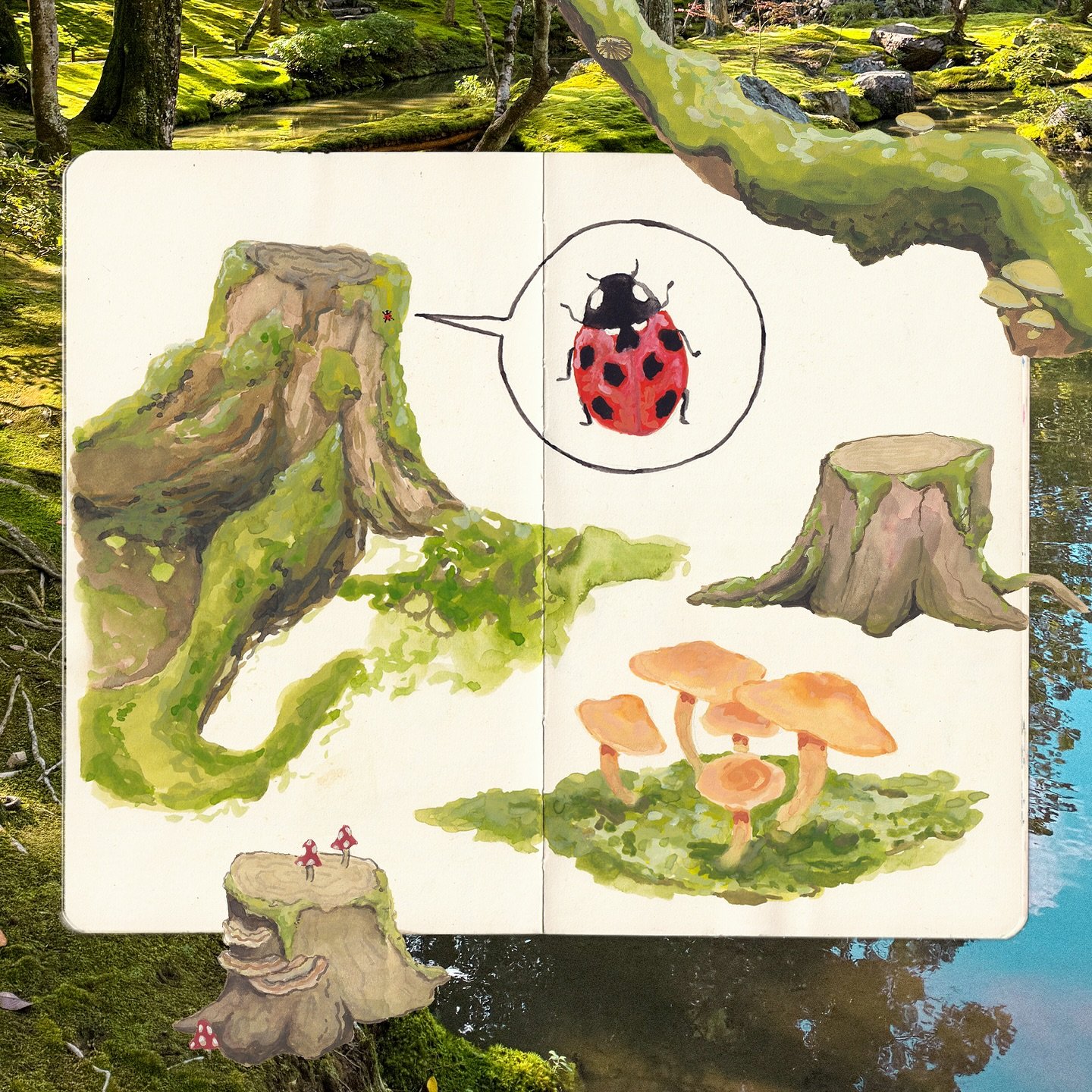 Some gouache paintings overlaid on a photo I took at the Saihōji Temple in Japan, also known as the Moss Temple :-) There&rsquo;s over 120 different varieties of moss covering the garden! 

This temple was one of my favorite things I got to see durin