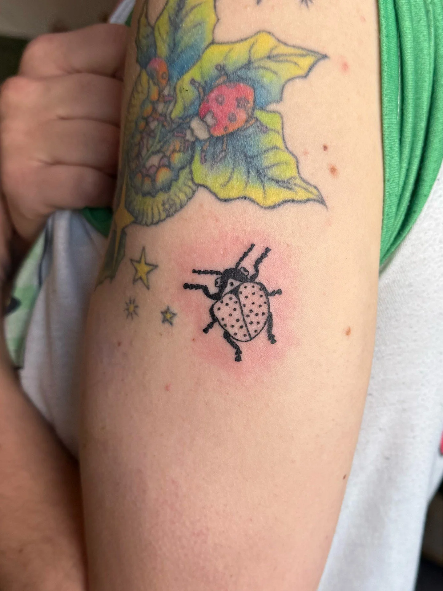 some beetles i've tattooed recently! 🐞 i love drawing bugs! pls comment ur favorite bug and i'll draw it next :~)

p.s. i have a few more openings left for march!