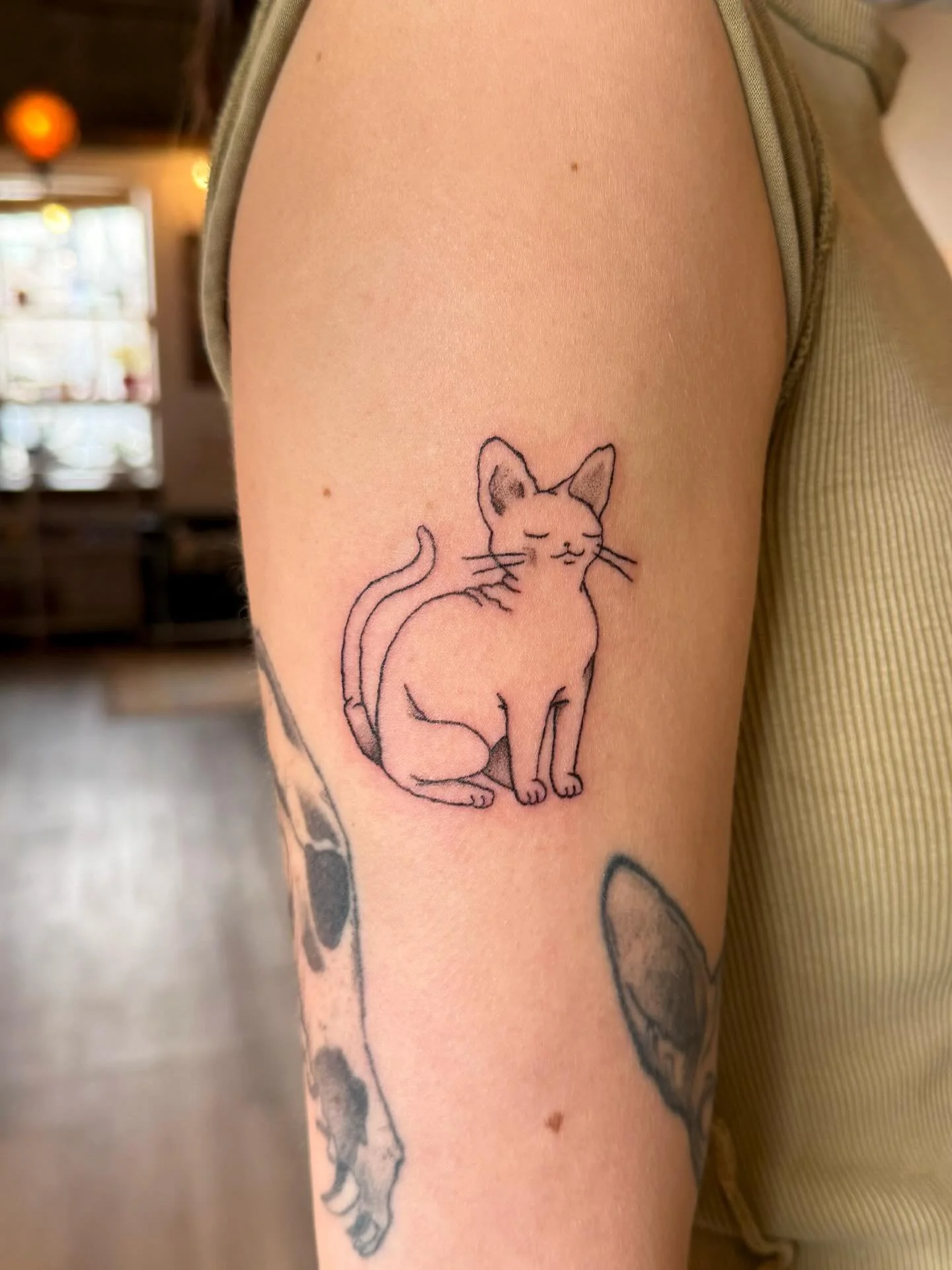 custom sphynx cat for luna!❣️ this is one of my favorites, I love drawing new things, and getting to look at reference photos of sphynx kittens was sublime 🐈&zwj;⬛