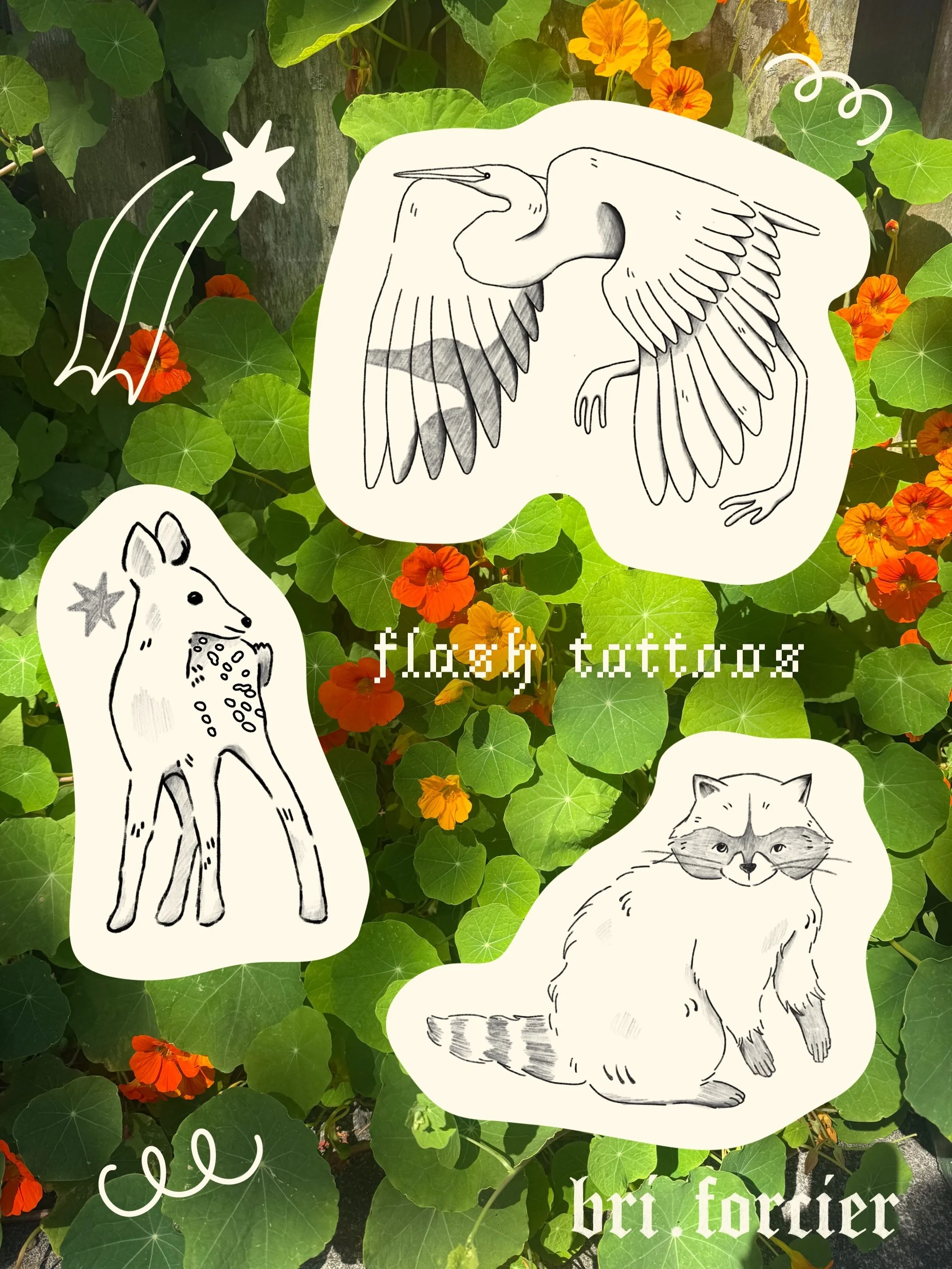 new animal flash for u 𓅠 i&rsquo;m really excited about these, books are open for may and june! dm me if you are interested >:) 

pls tell me which animal you would like me to draw next 🗣️

tattooing at @strawberrymoon.collective in the @churcha