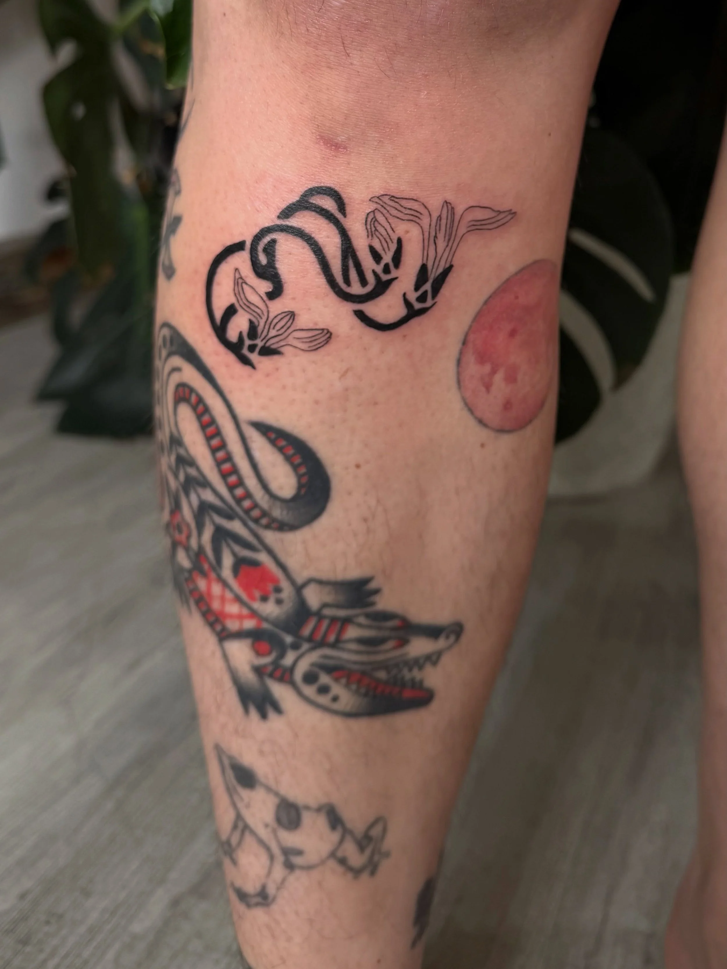 some ornamental flowers for ashley :-) this was a treat to tattoo, and i think it filled in the space very nicely 🍭 i have some openings this week to tattoo, hit my line 🔫