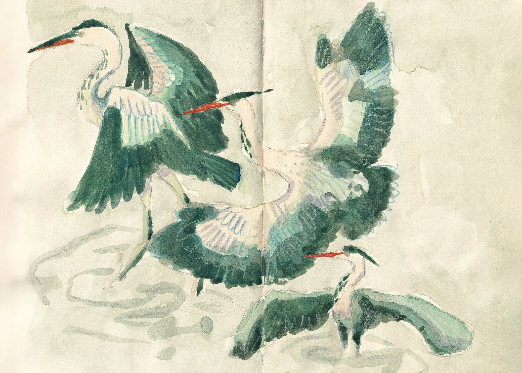 3 Herons Print